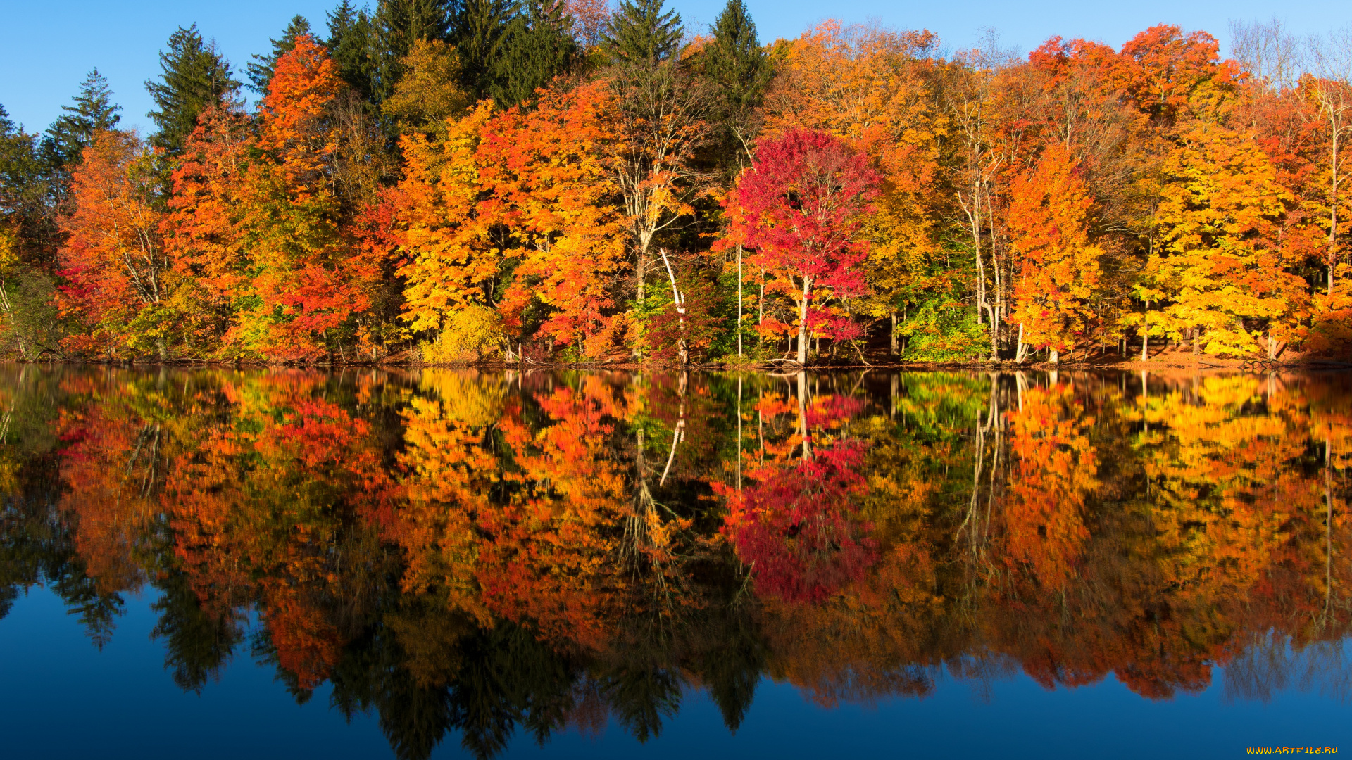 природа, реки, озера, осень, отражение, лес, озеро