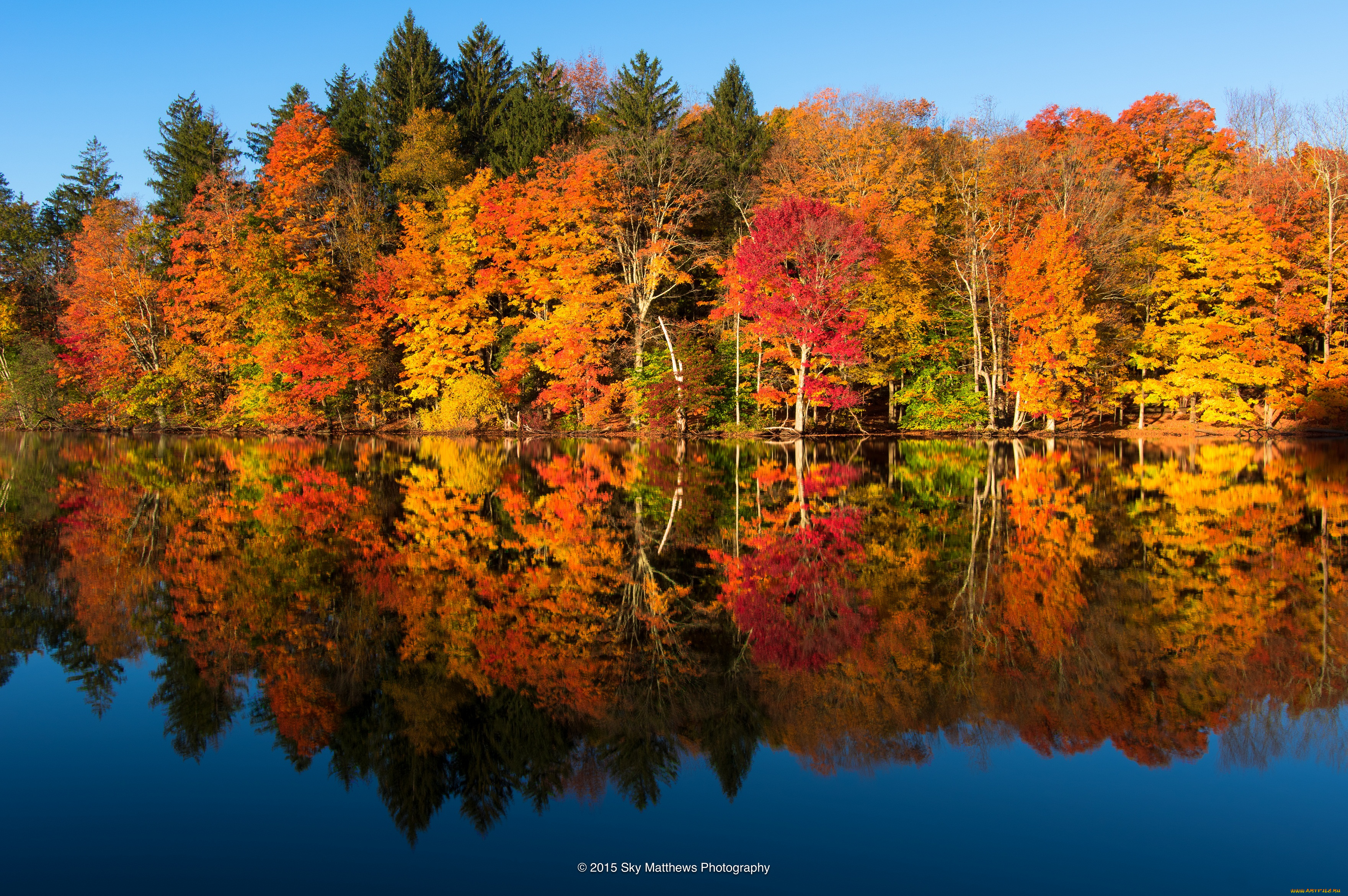 природа, реки, озера, осень, отражение, лес, озеро