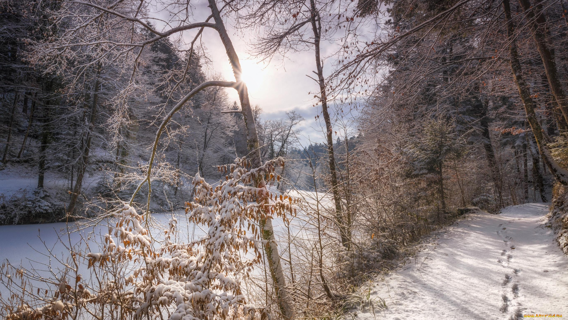 природа, зима, деревья, лес, дорога, река