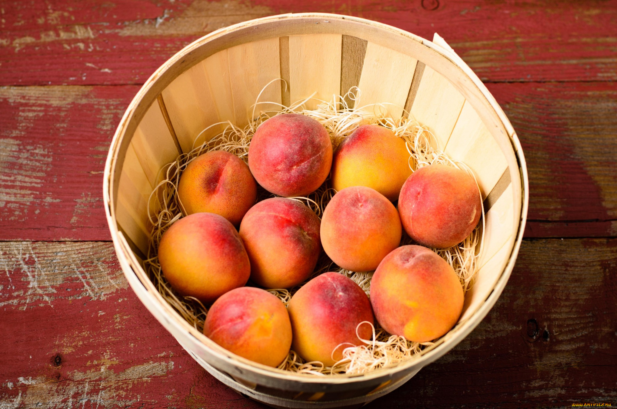 Фото абрикосов и персиков. Персики на рабочий стол. Персик слива абрикос. Персик на сливу. Слива персиковая.