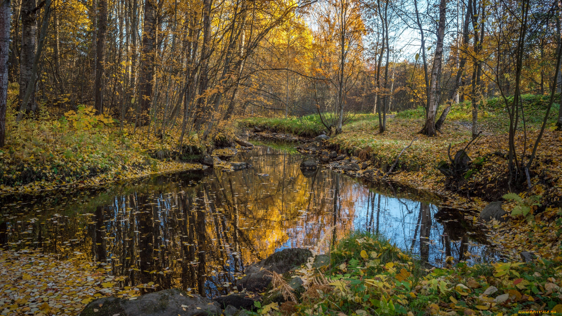 природа, реки, озера, простор