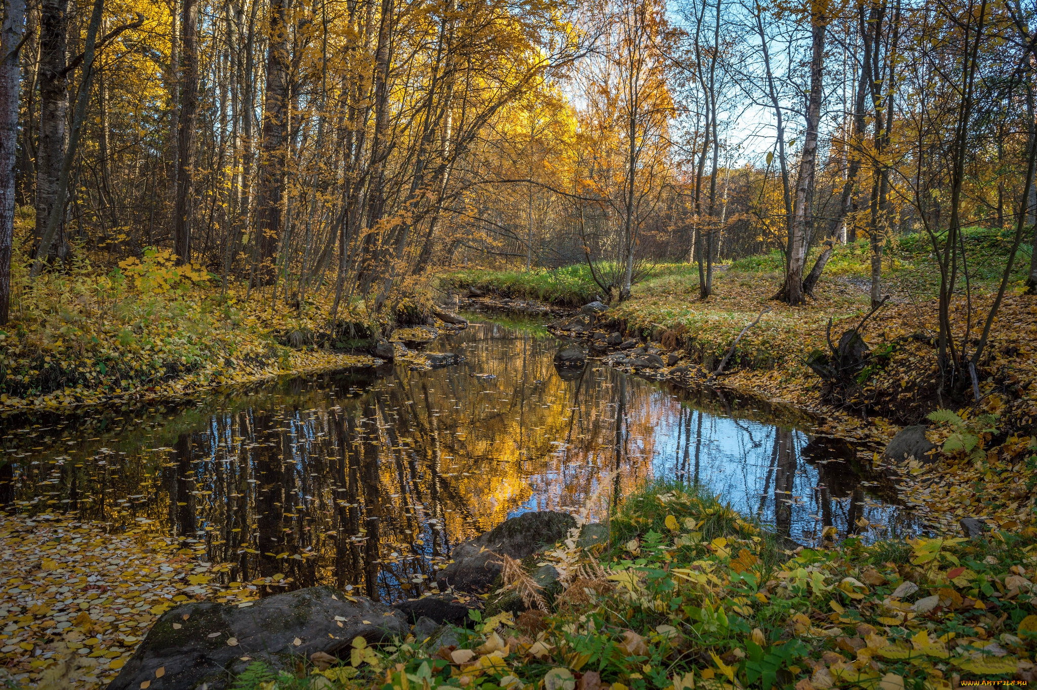 природа, реки, озера, простор