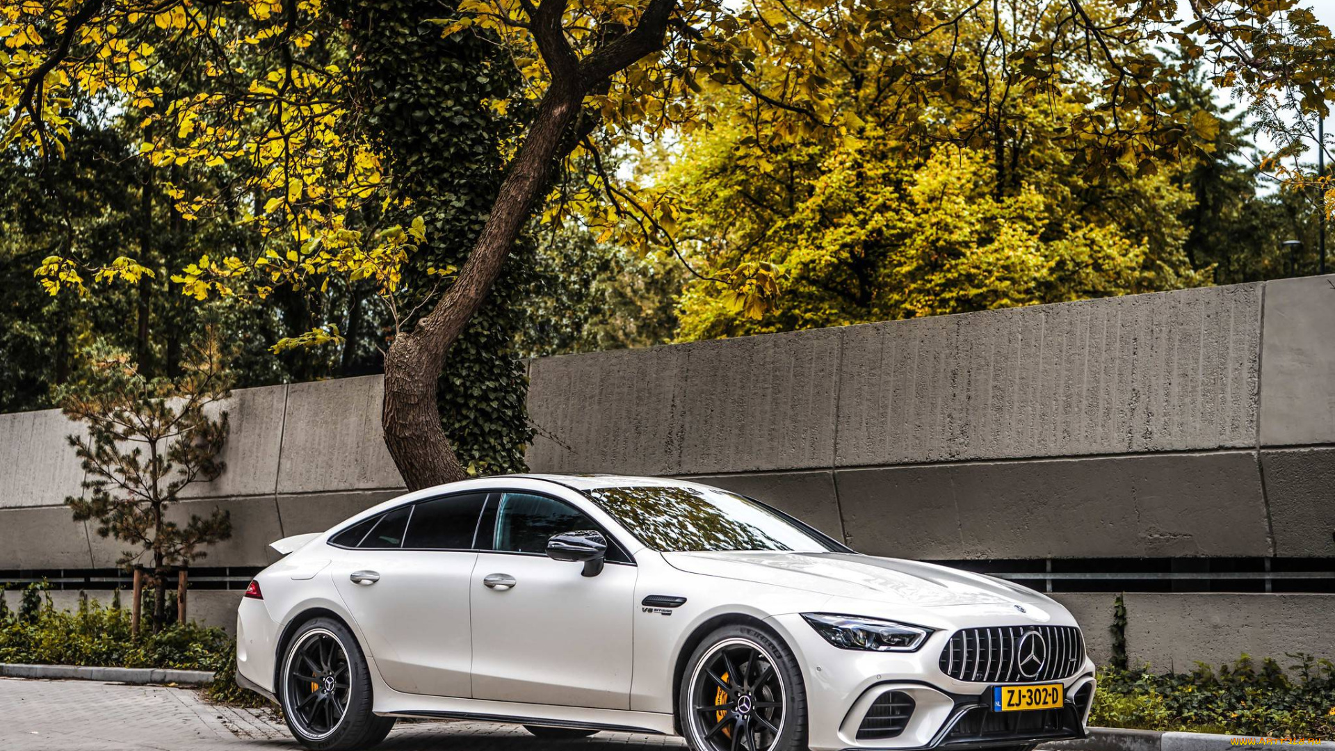 автомобили, mercedes-benz, alpine, white, mercedes, benz, amg, gt, 63s, 4-door, coupe, тюнинг, белый