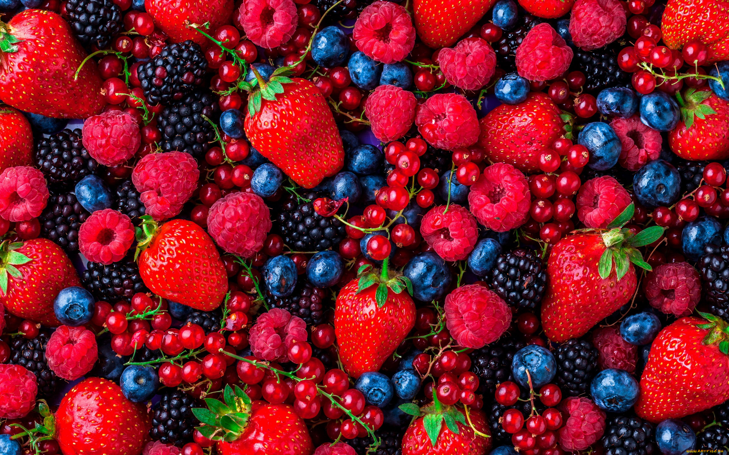еда, фрукты, , ягоды, ежевика, малина, красная, смородина, клубника, черника