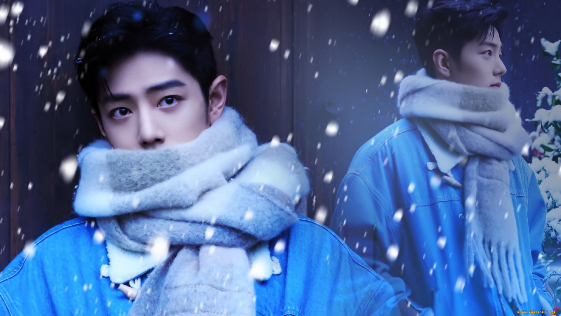 мужчины, xiao, zhan, актер, лицо, шарф, снег, куртка