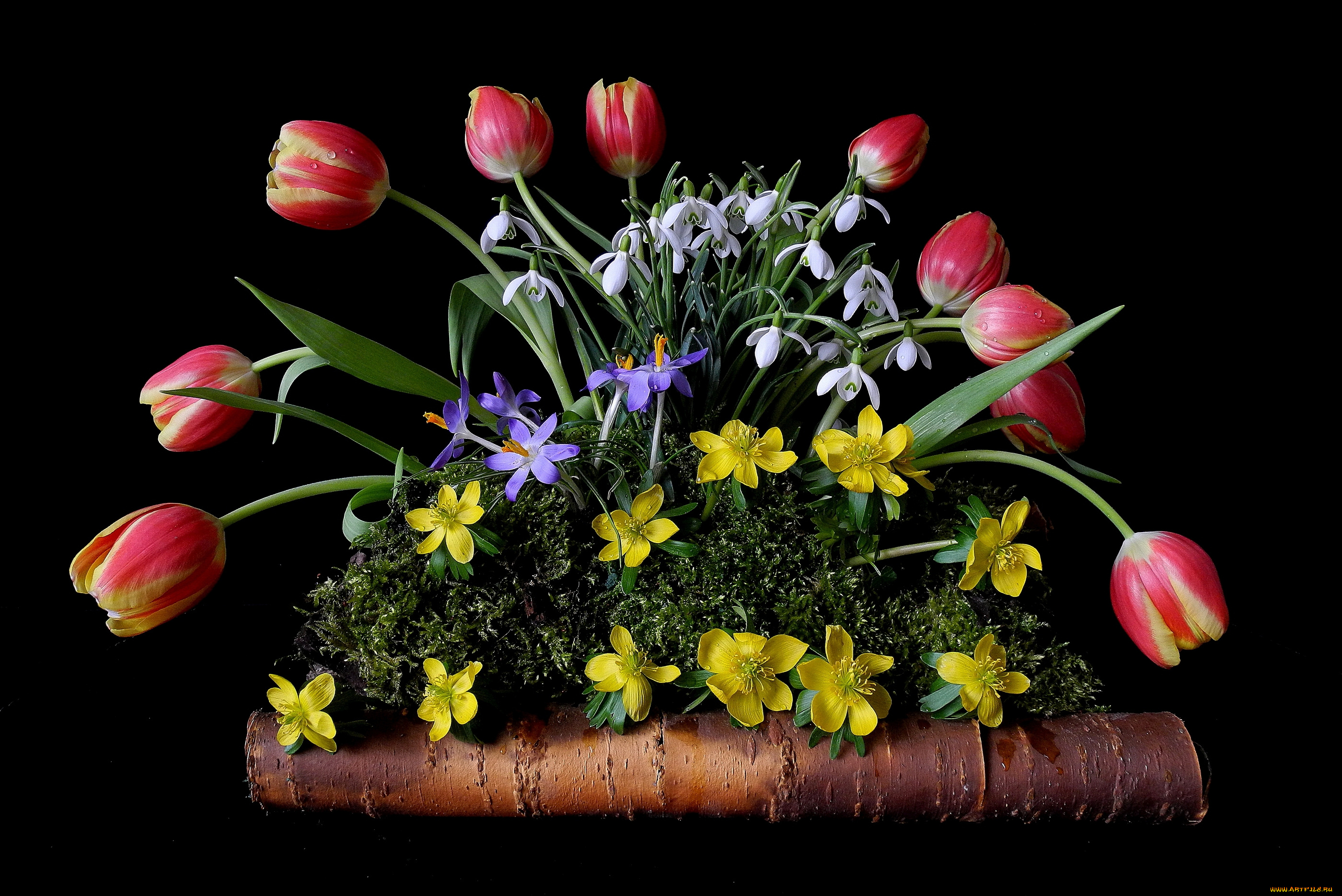 цветы, разные, вместе, подснежники, лютики, крокусы, тюльпаны, мох, береста, композиция