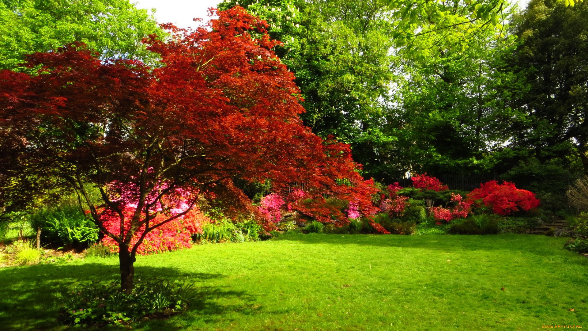 athlone, house, gardens, , highgate, , england, природа, парк, трава, деревья, англия