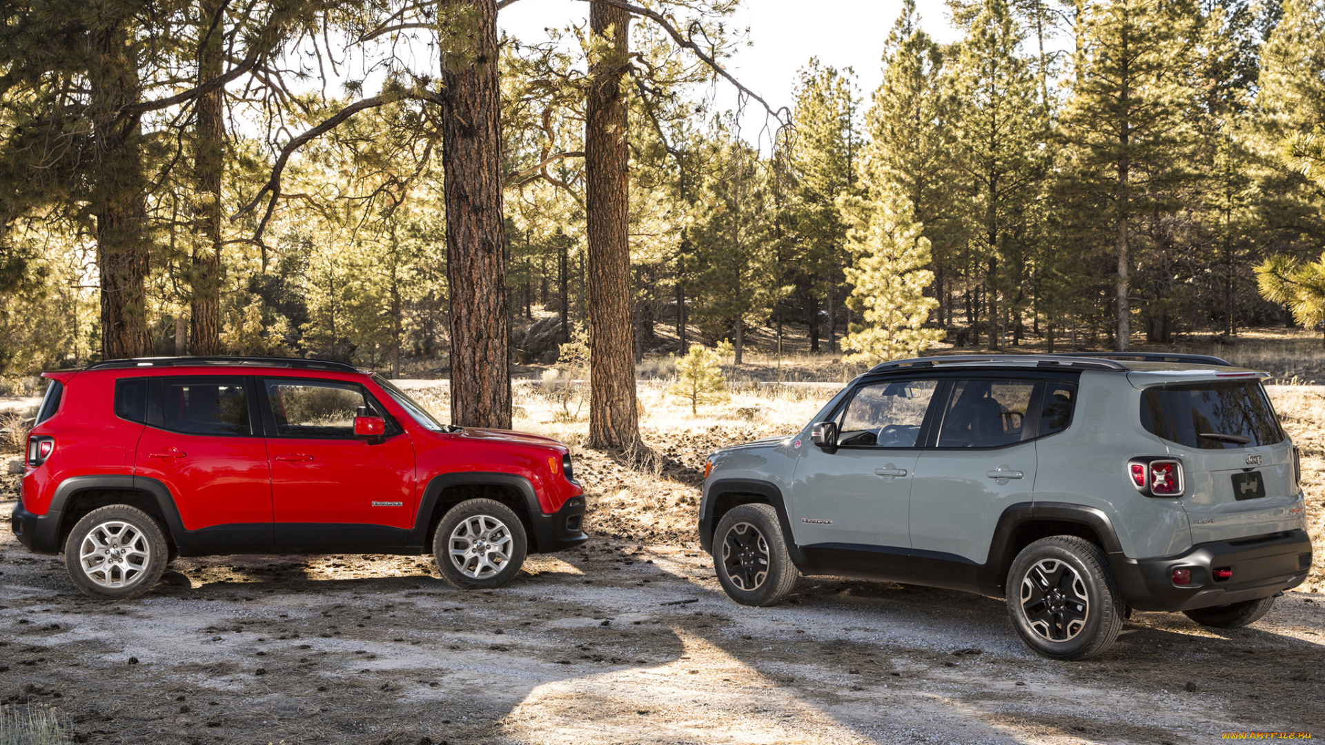 автомобили, jeep, renegade