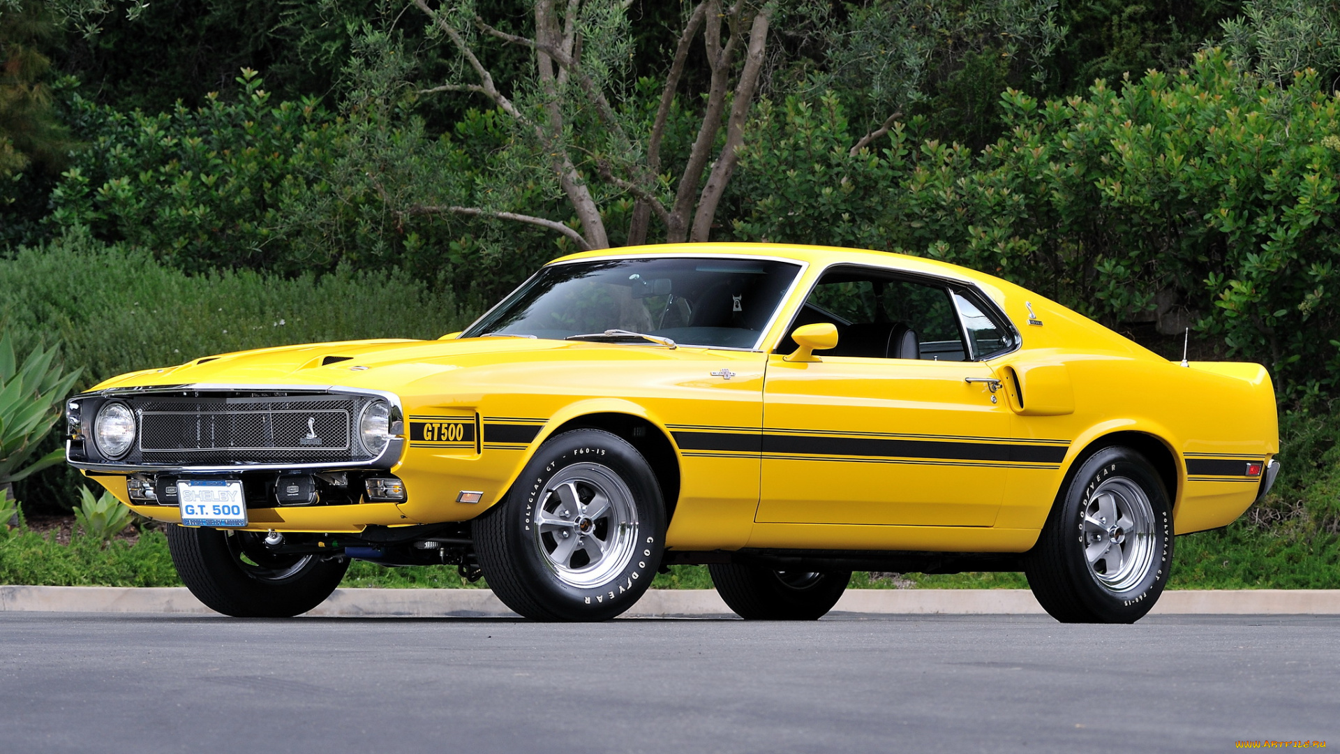 автомобили, mustang, 1969, gt500, shelby, желтый