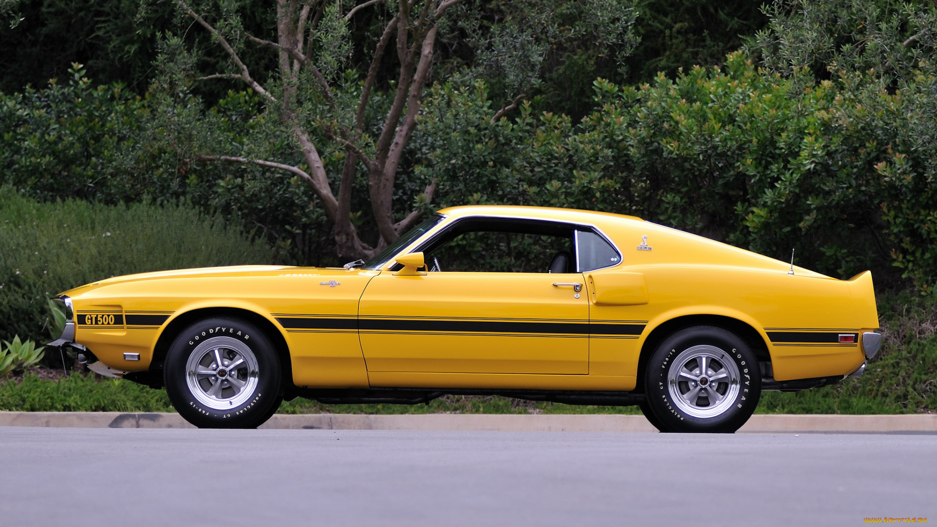 автомобили, mustang, желтый, 1969, gt500, shelby