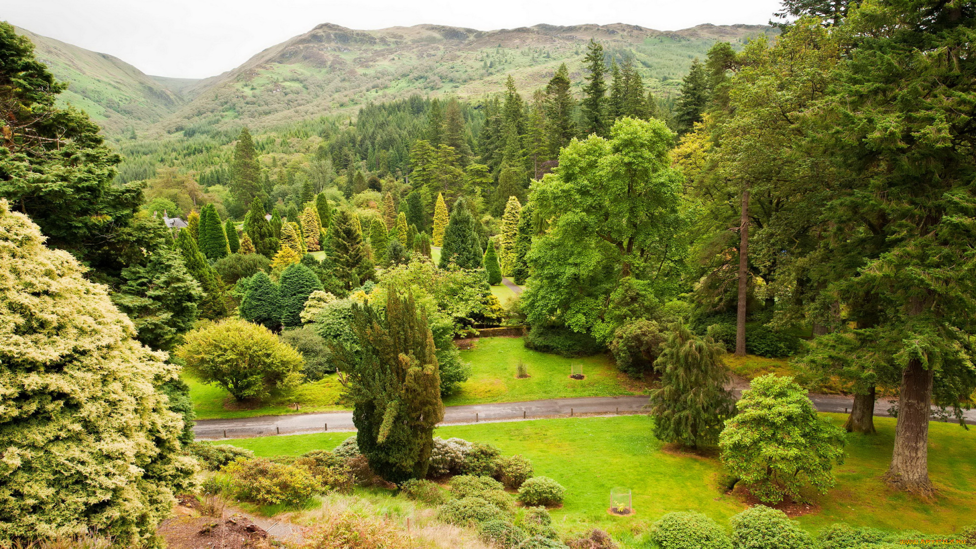 benmore-younger, botanic, garden, , argyll, , scotland, природа, парк, ботанический, шотландия
