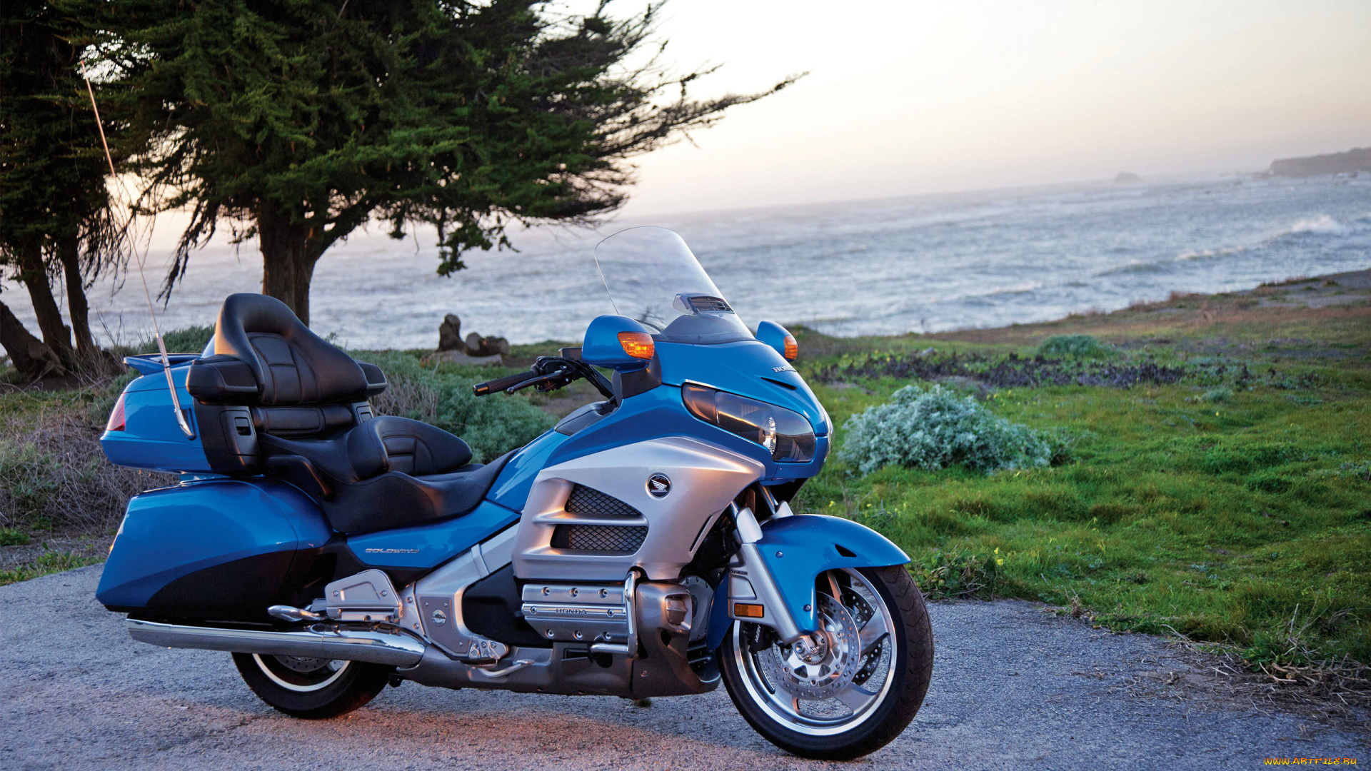 honda, goldwing, 2012, мотоциклы, honda, хонда, золотокрылая, синяя, океан, дерево
