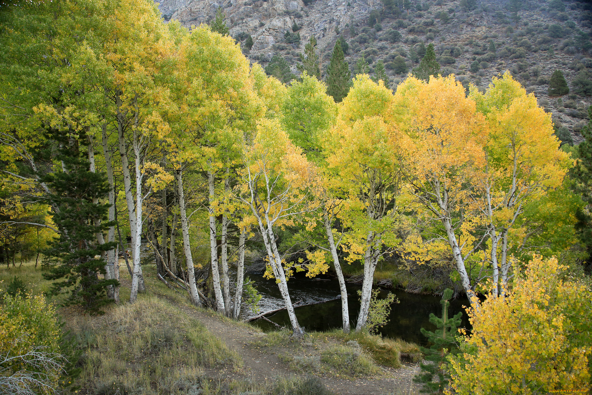 природа, деревья, осень, река, лес