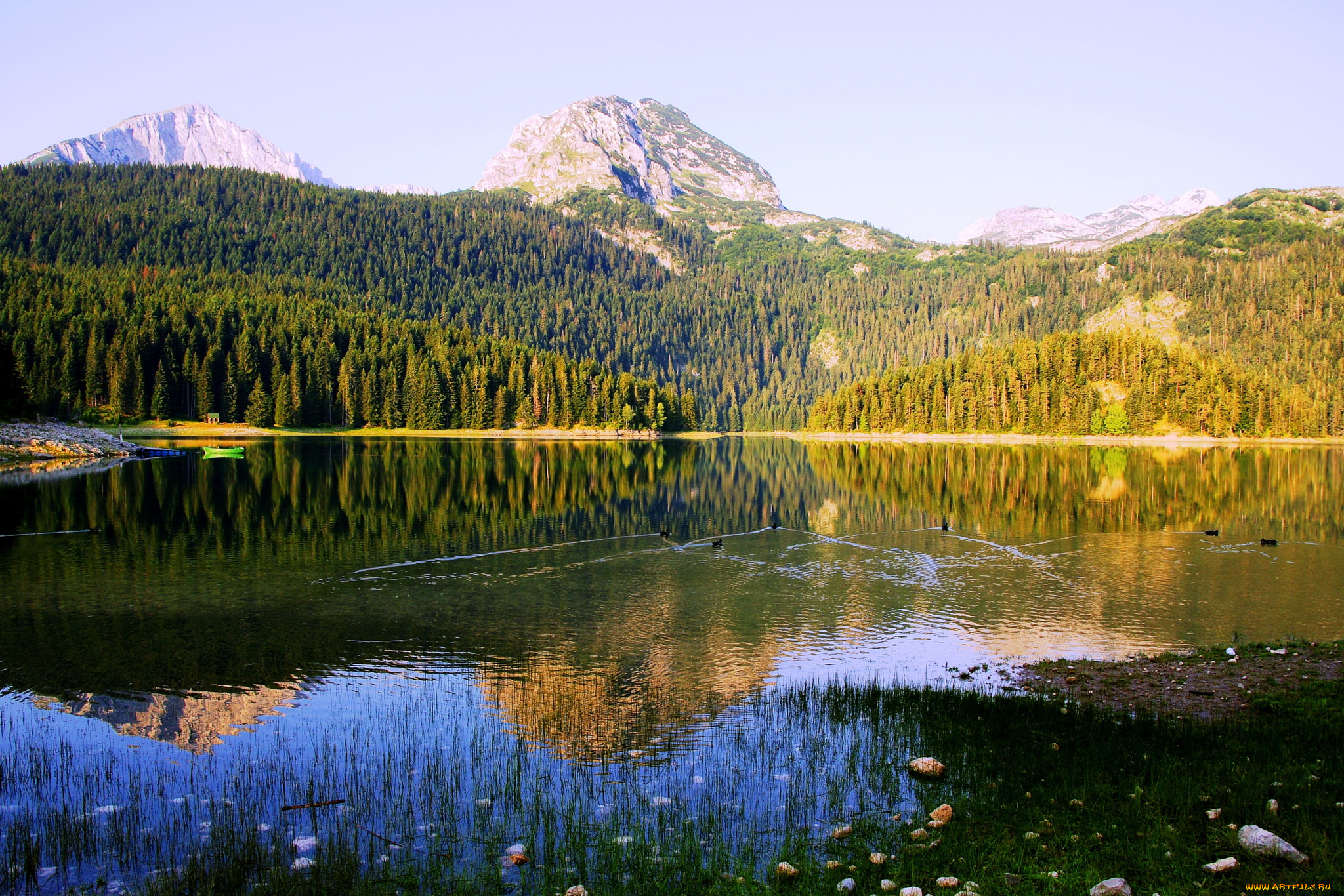 Черногория, black, lake, природа, реки, озера, Черногория, black, lake, озеро, лес