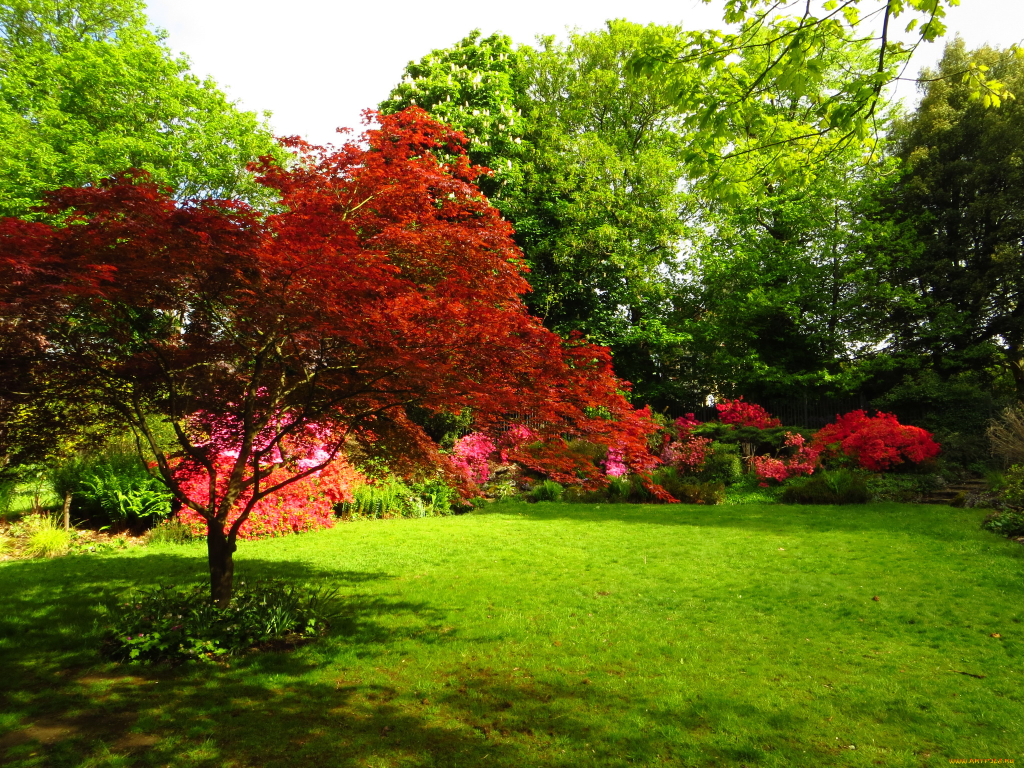 athlone, house, gardens, , highgate, , england, природа, парк, трава, деревья, англия