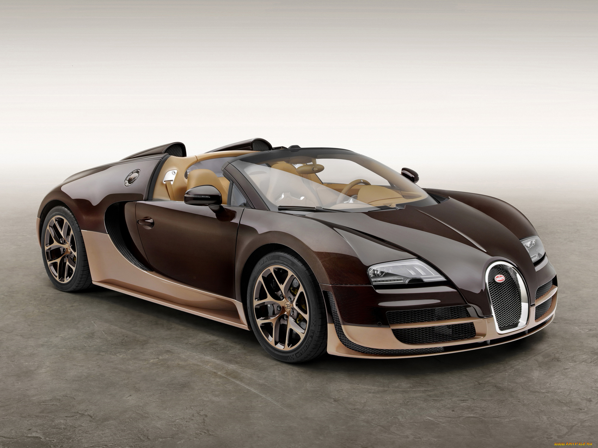 автомобили, bugatti, veyron, grand, sport, roadster, vitesse, rembrandt, 2014