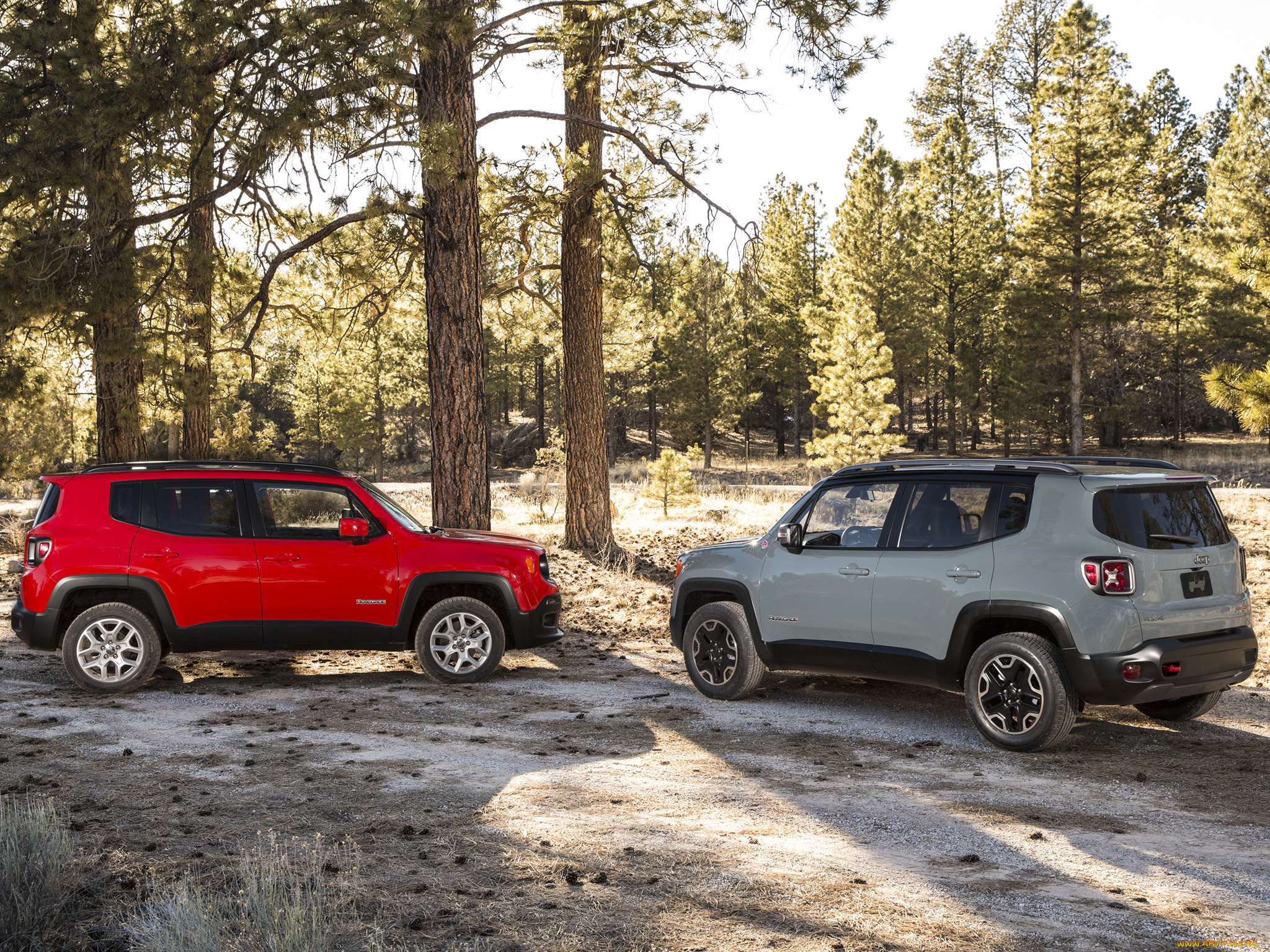 автомобили, jeep, renegade