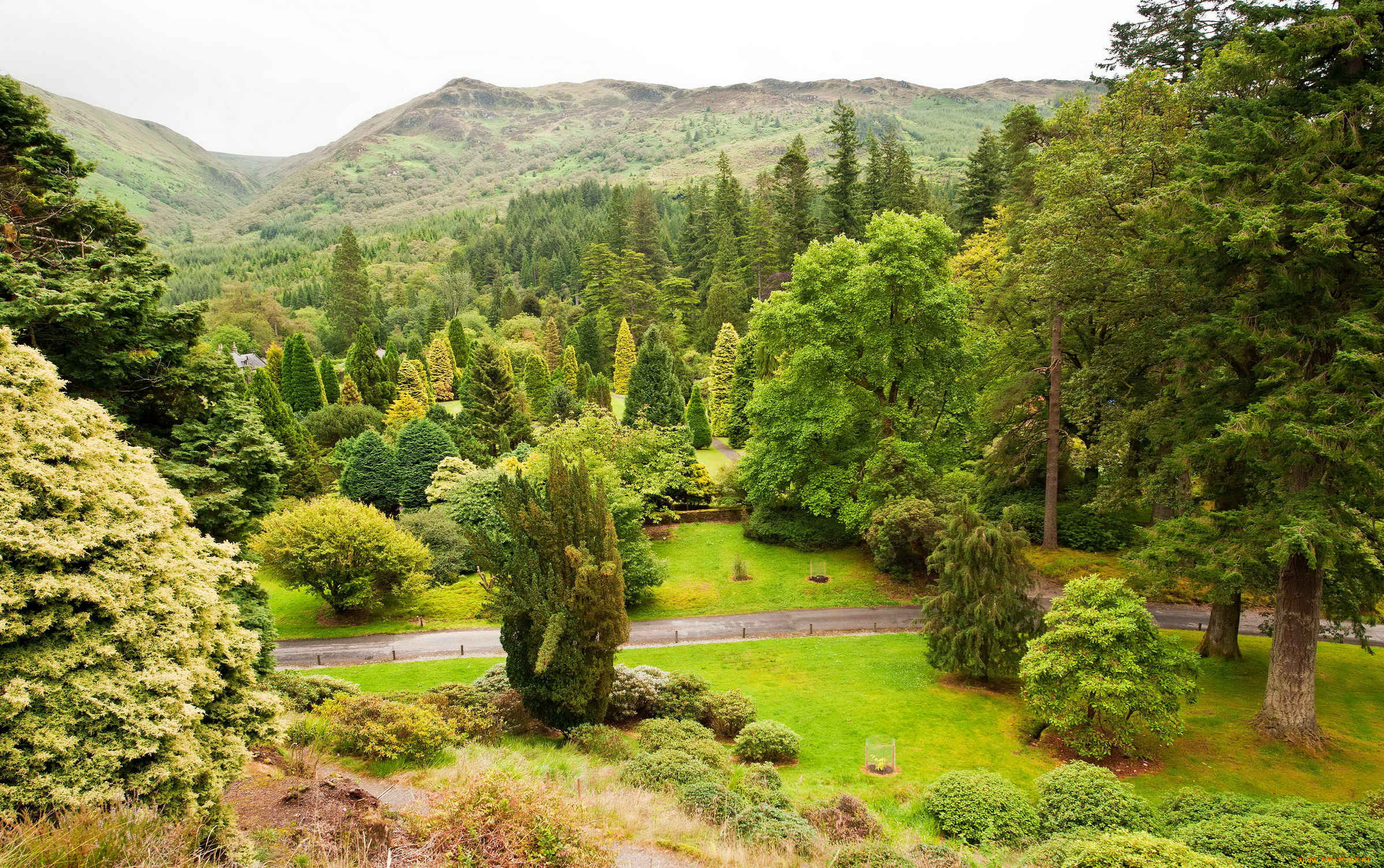 benmore-younger, botanic, garden, , argyll, , scotland, природа, парк, ботанический, шотландия