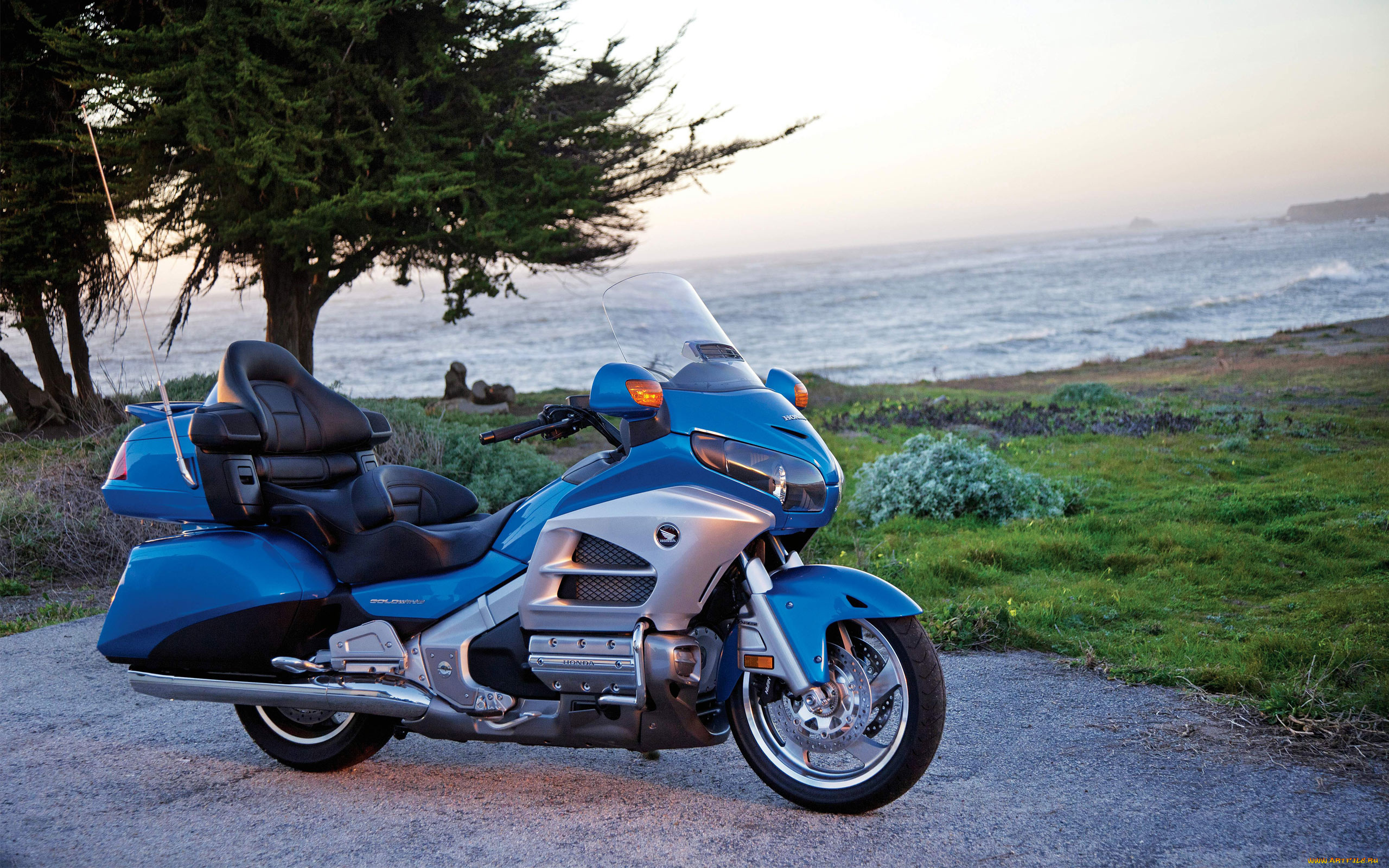 honda, goldwing, 2012, мотоциклы, honda, хонда, золотокрылая, синяя, океан, дерево