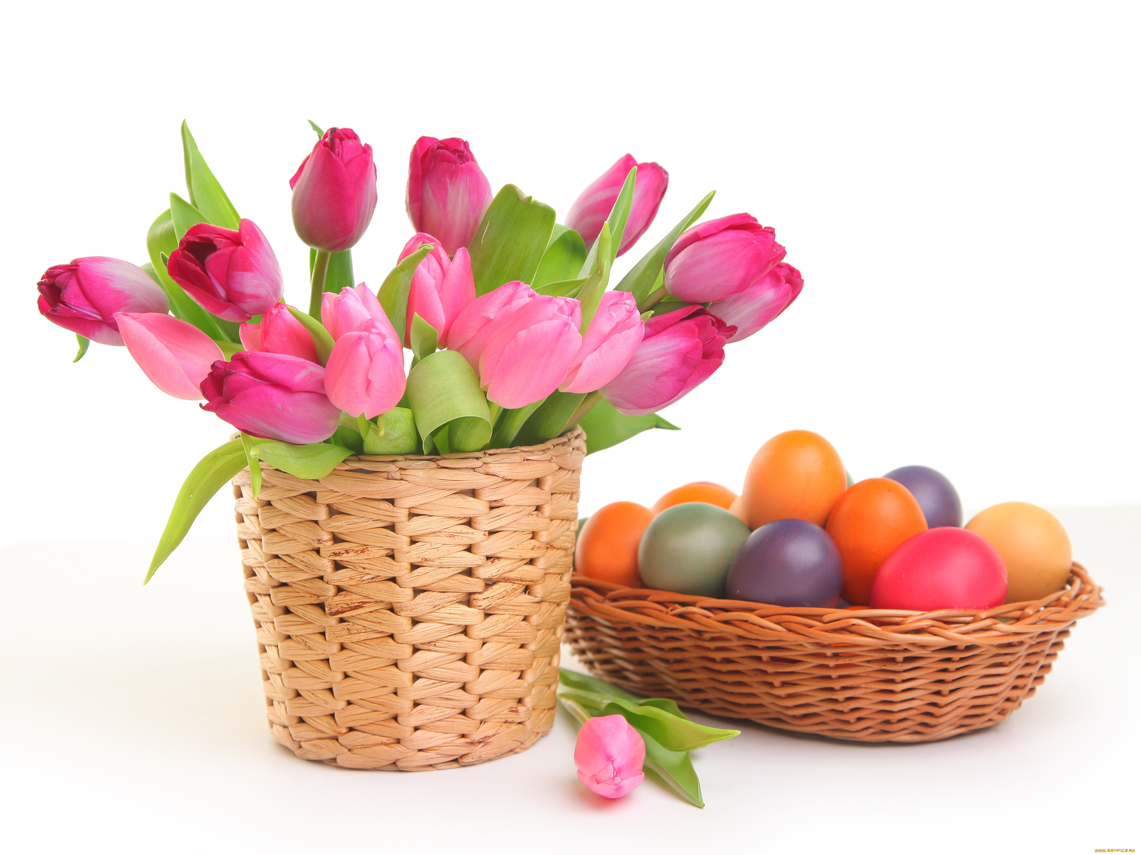 праздничные, пасха, тюльпаны, яйца, цветы