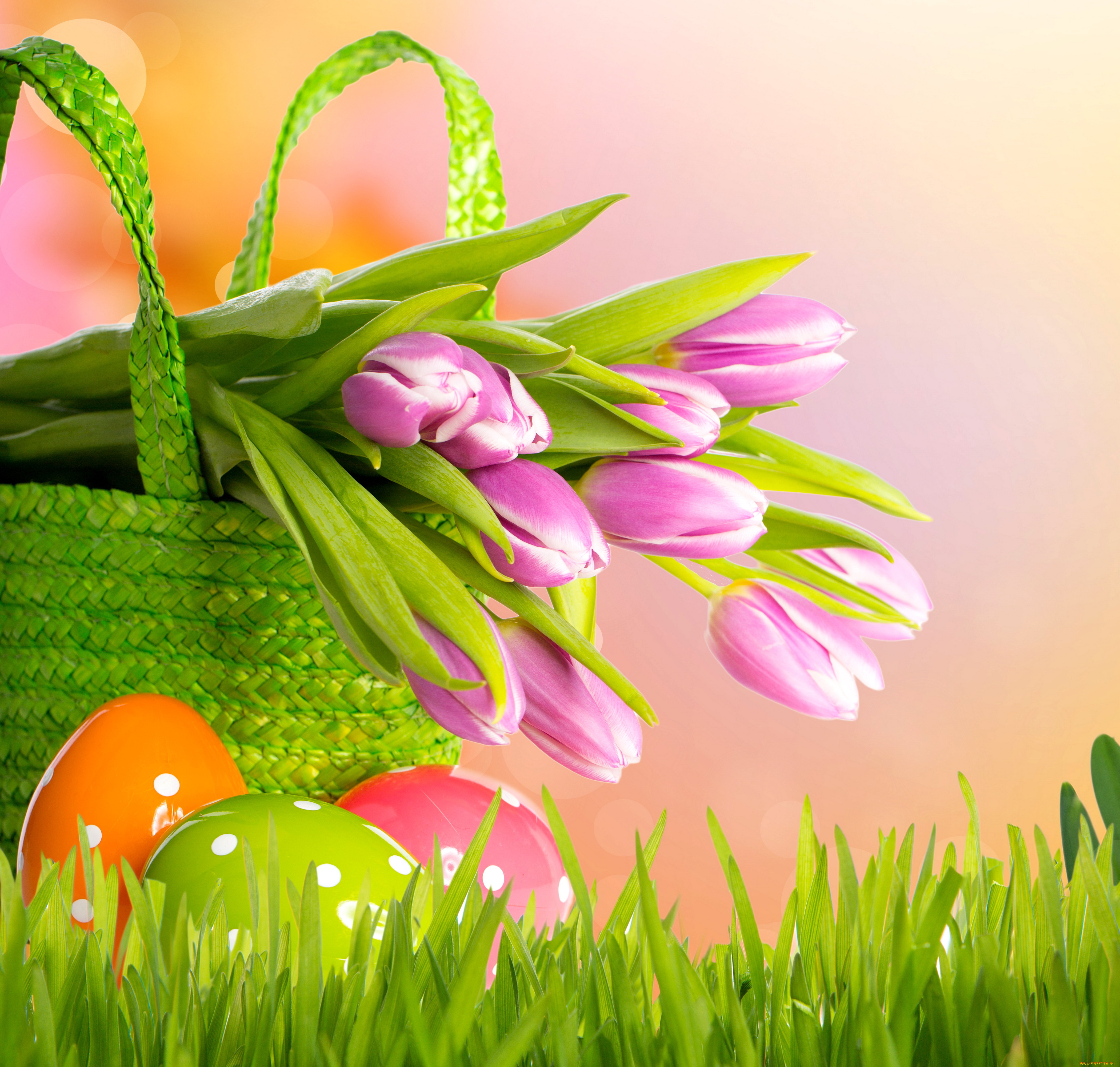 праздничные, пасха, grass, eggs, basket, tulips, flowers, spring, easter