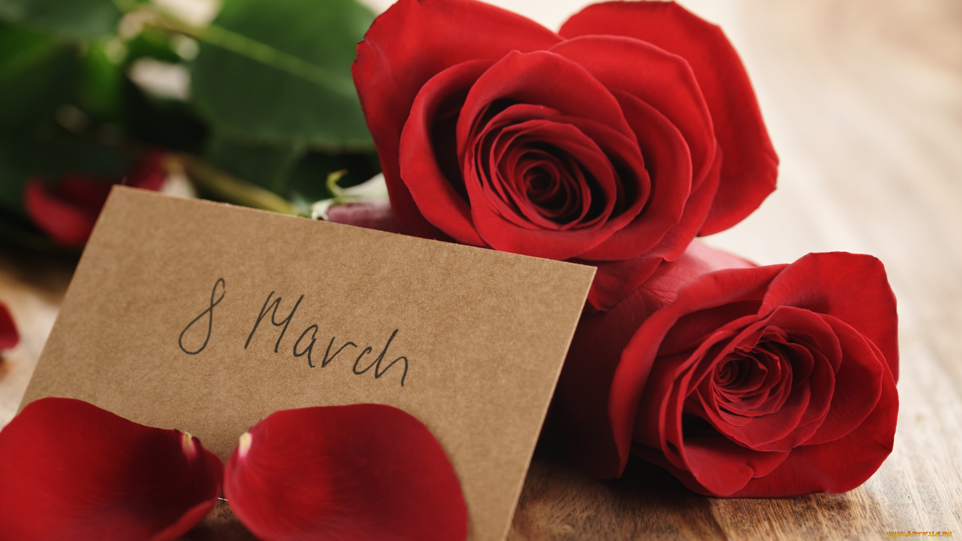 праздничные, международный, женский, день, -, 8, марта, красные, розы, red, букет, gift, romantic, 8, марта, лепестки, roses