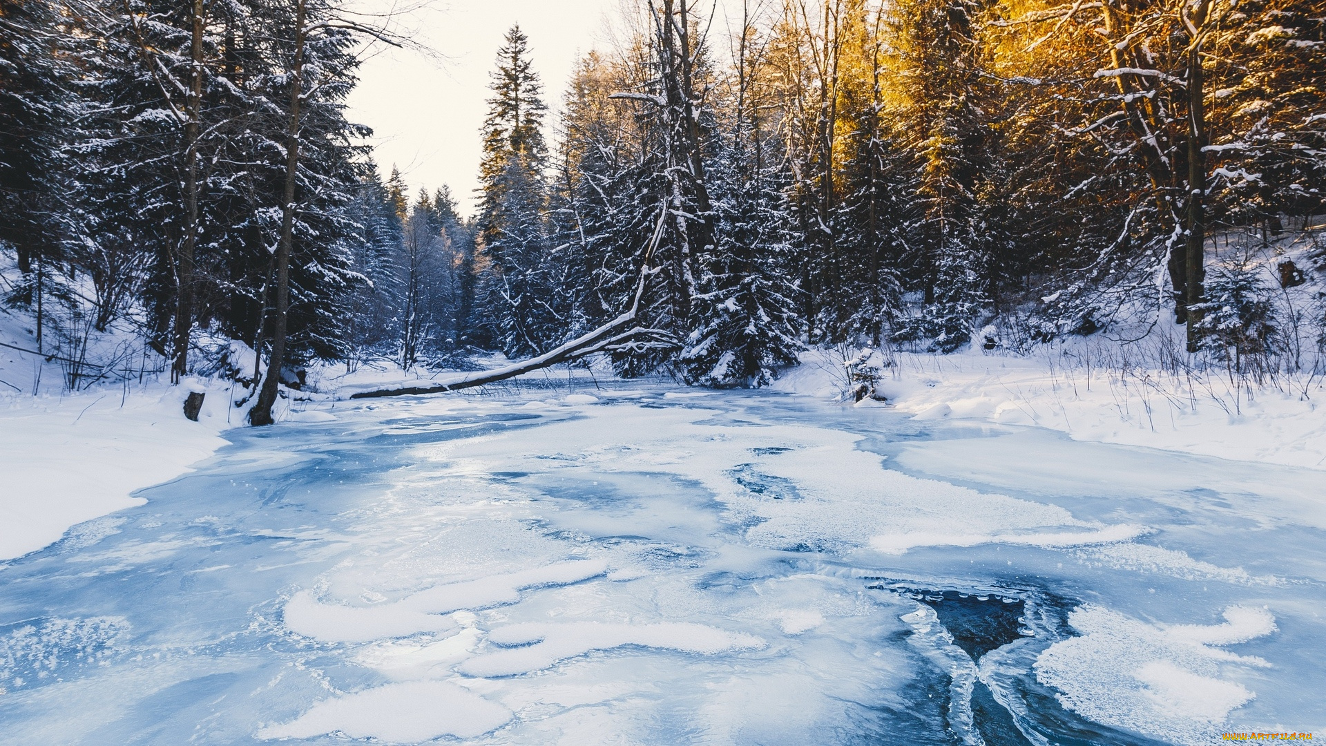природа, зима, лёд, река, лес