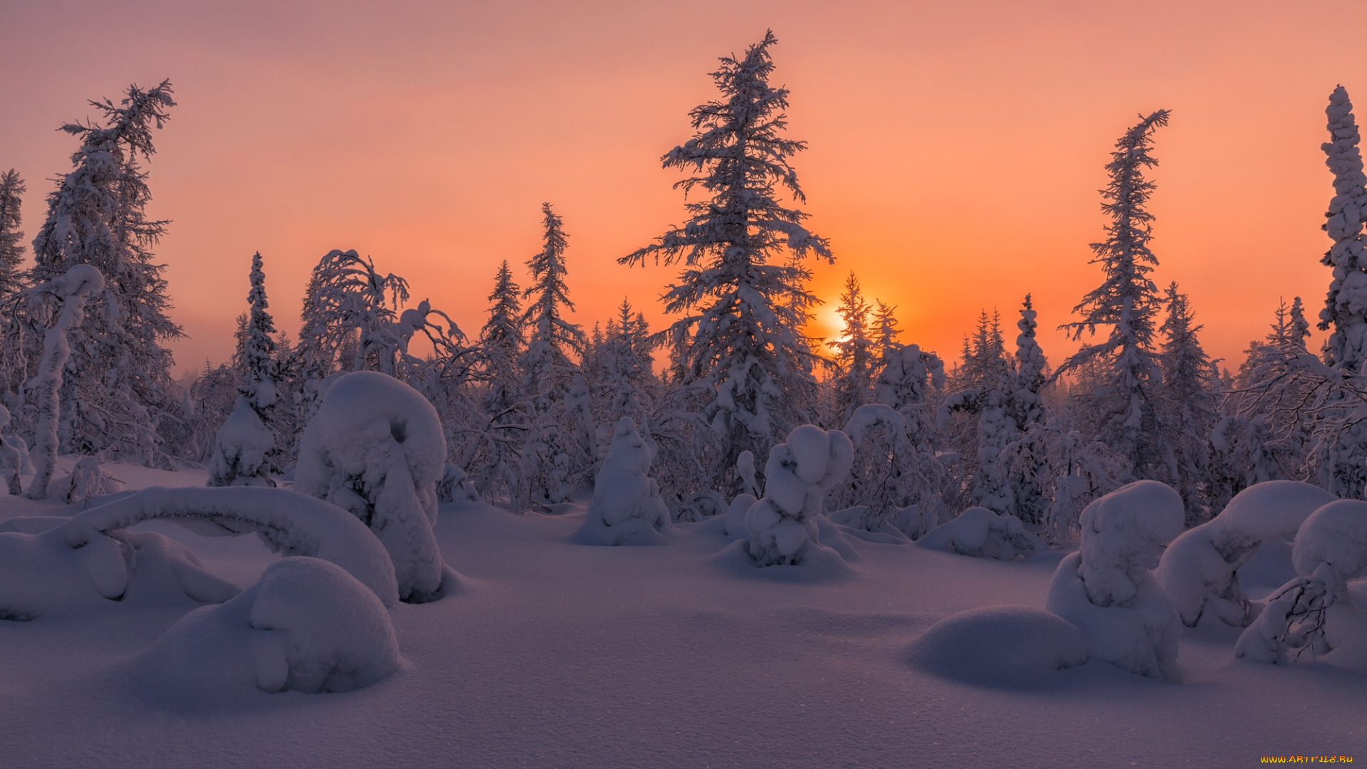 природа, восходы, закаты, салехард, снег, деревья, россия