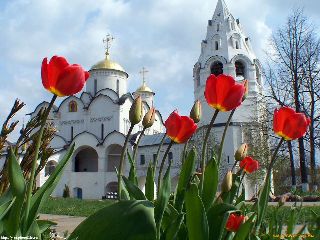 тюльпаны, города, православные, церкви, монастыри