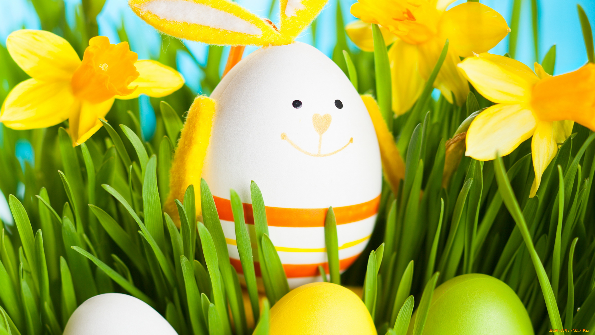 праздничные, пасха, easter, flowers, grass, daffodils, нарциссы, eggs, spring, bunny, яйца, трава, цветы, весна, кролик