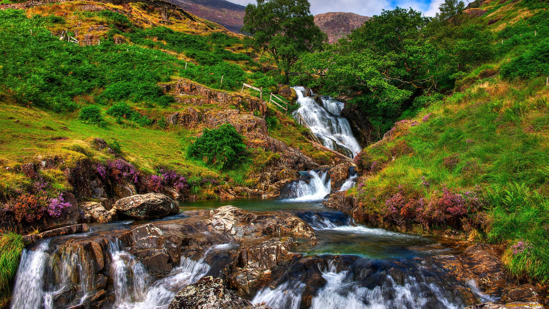 природа, водопады, пейзаж, горный, рок, дерево, водопад, национальный, парк, сноудония, , уэльс