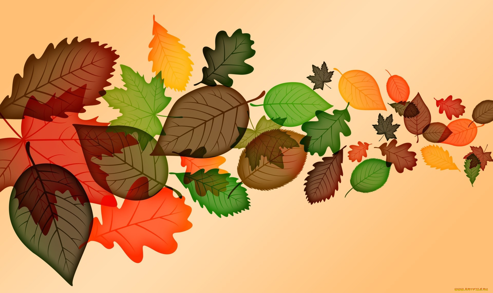 векторная, графика, природа, , nature, листья, осень, фон