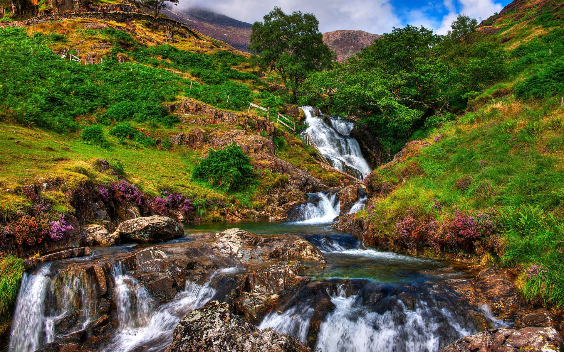 природа, водопады, пейзаж, горный, рок, дерево, водопад, национальный, парк, сноудония, , уэльс