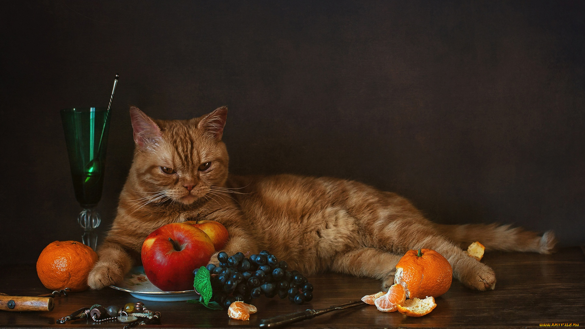 животные, коты, яблоки, виноград, мандарины, рыжий, кот, бокал, котейка