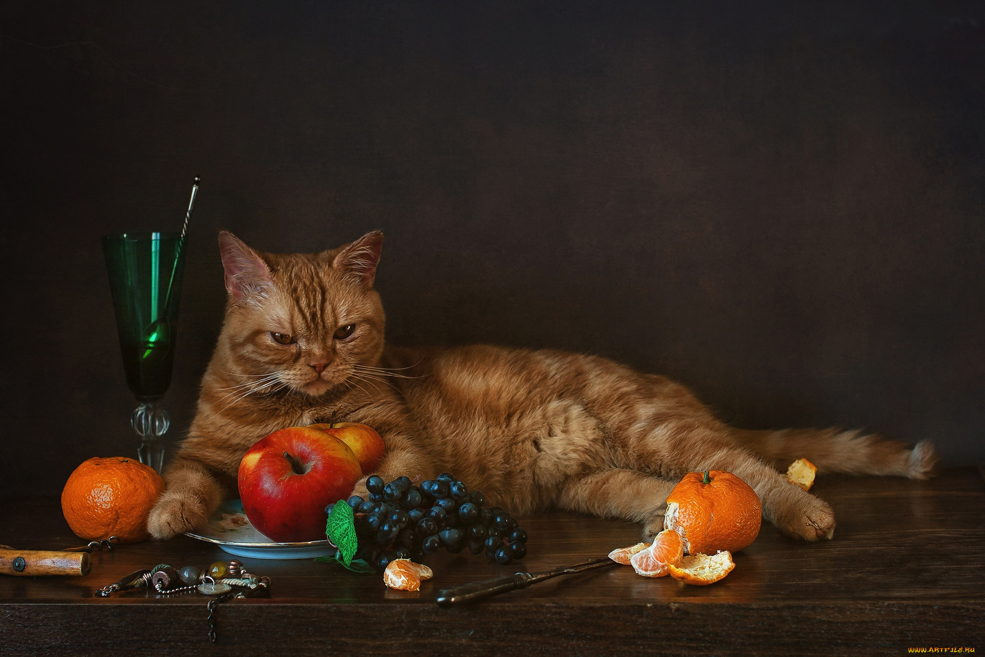 животные, коты, яблоки, виноград, мандарины, рыжий, кот, бокал, котейка