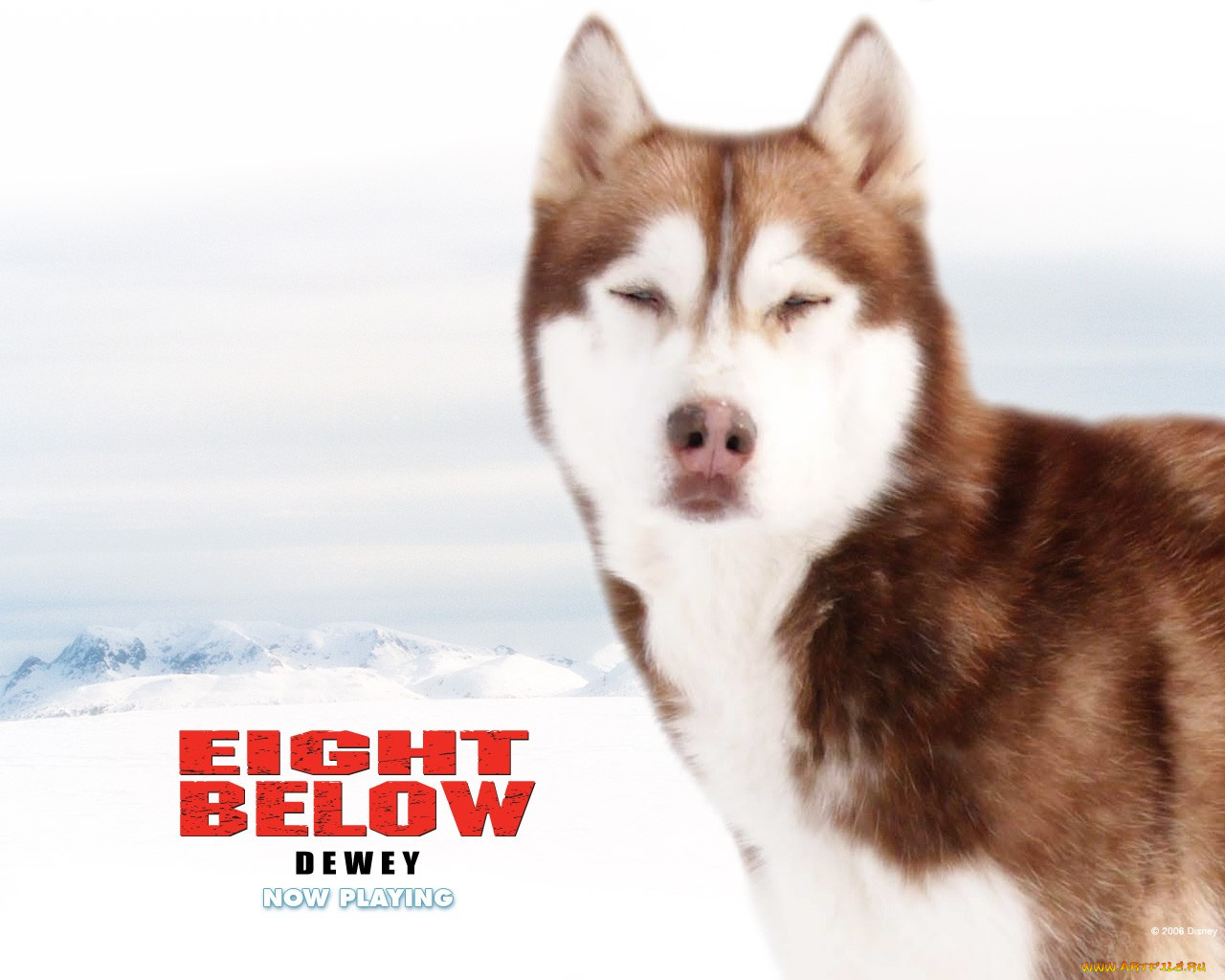 кино, фильмы, eight, below