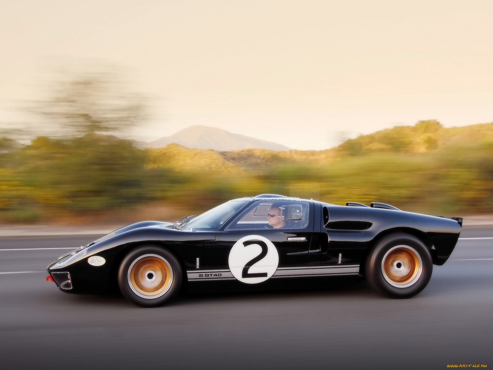 2008, shelby, 85th, commemorative, gt40, автомобили, ford