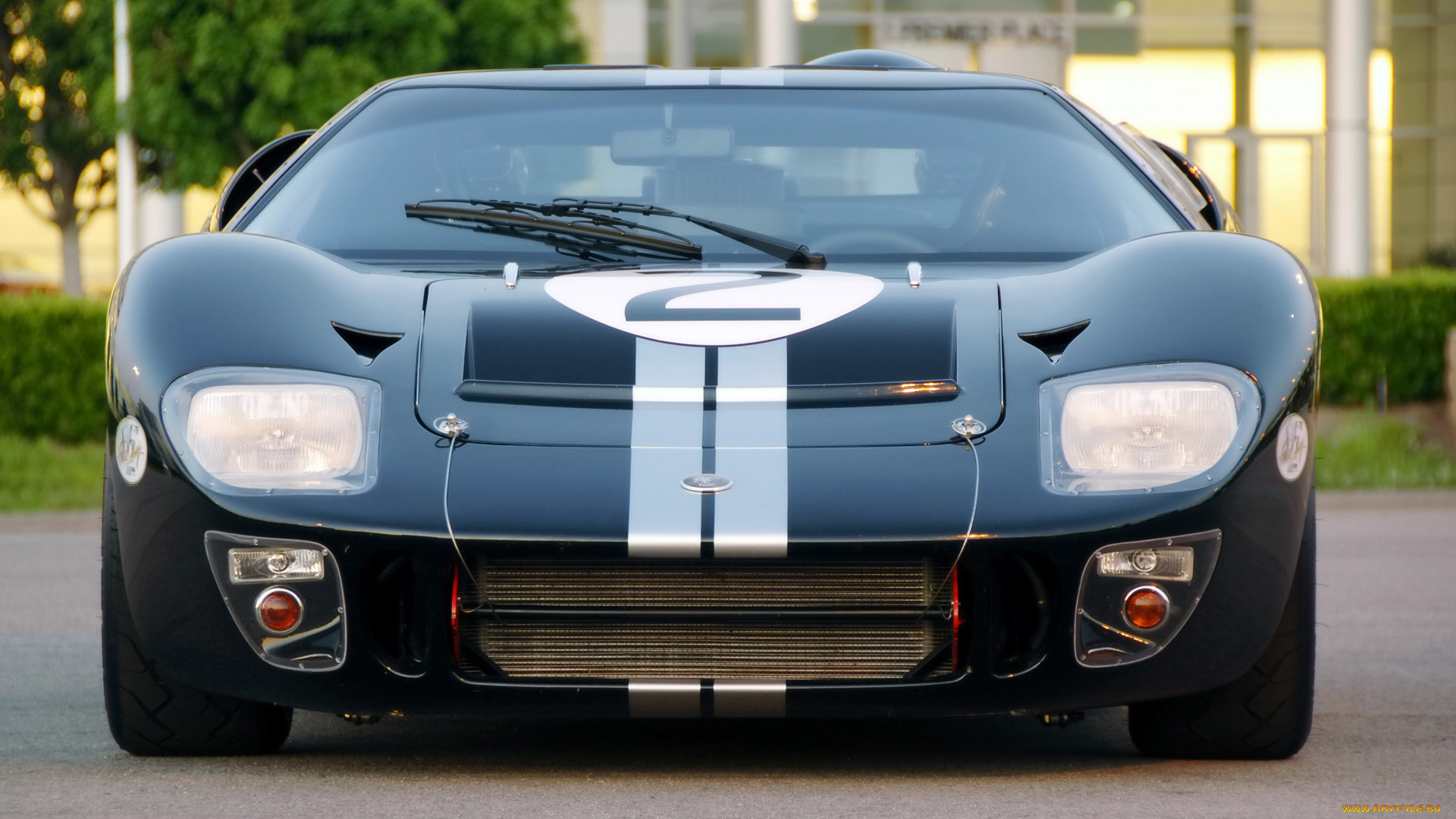 2008, shelby, 85th, commemorative, gt40, автомобили, ford