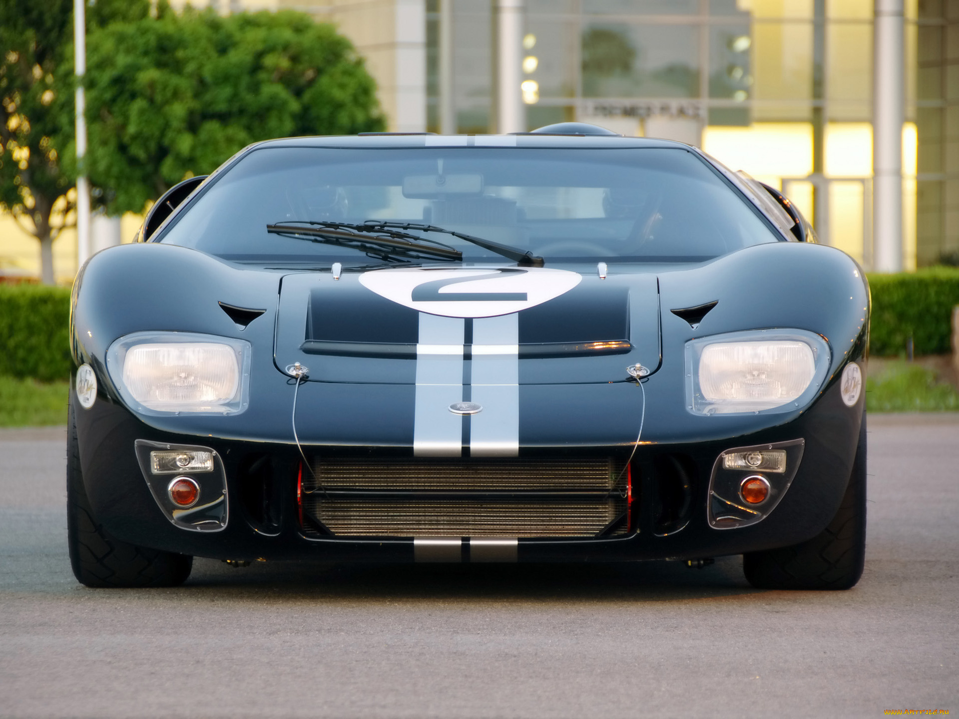 2008, shelby, 85th, commemorative, gt40, автомобили, ford