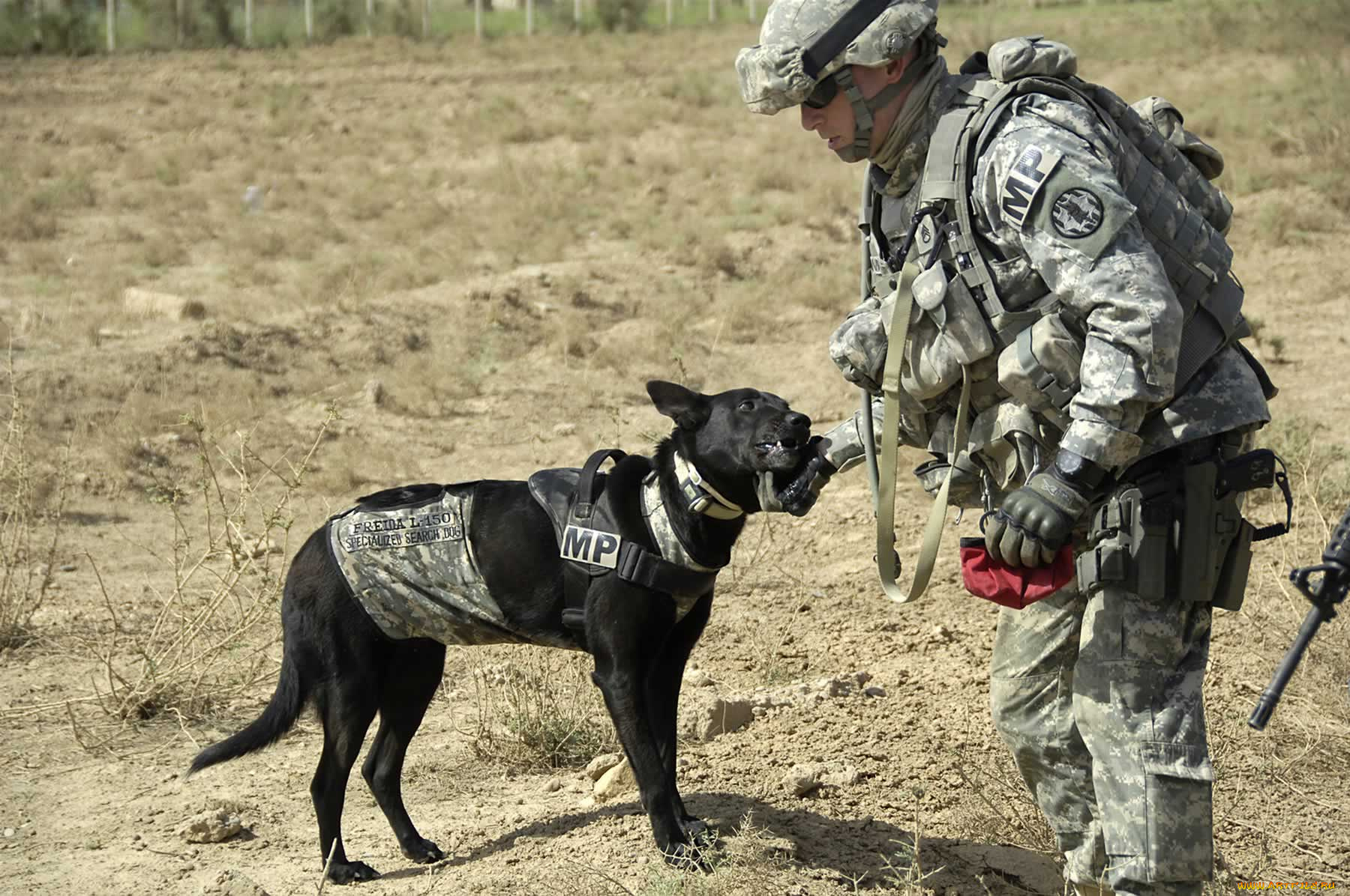 оружие, армия, спецназ, military, soldiers