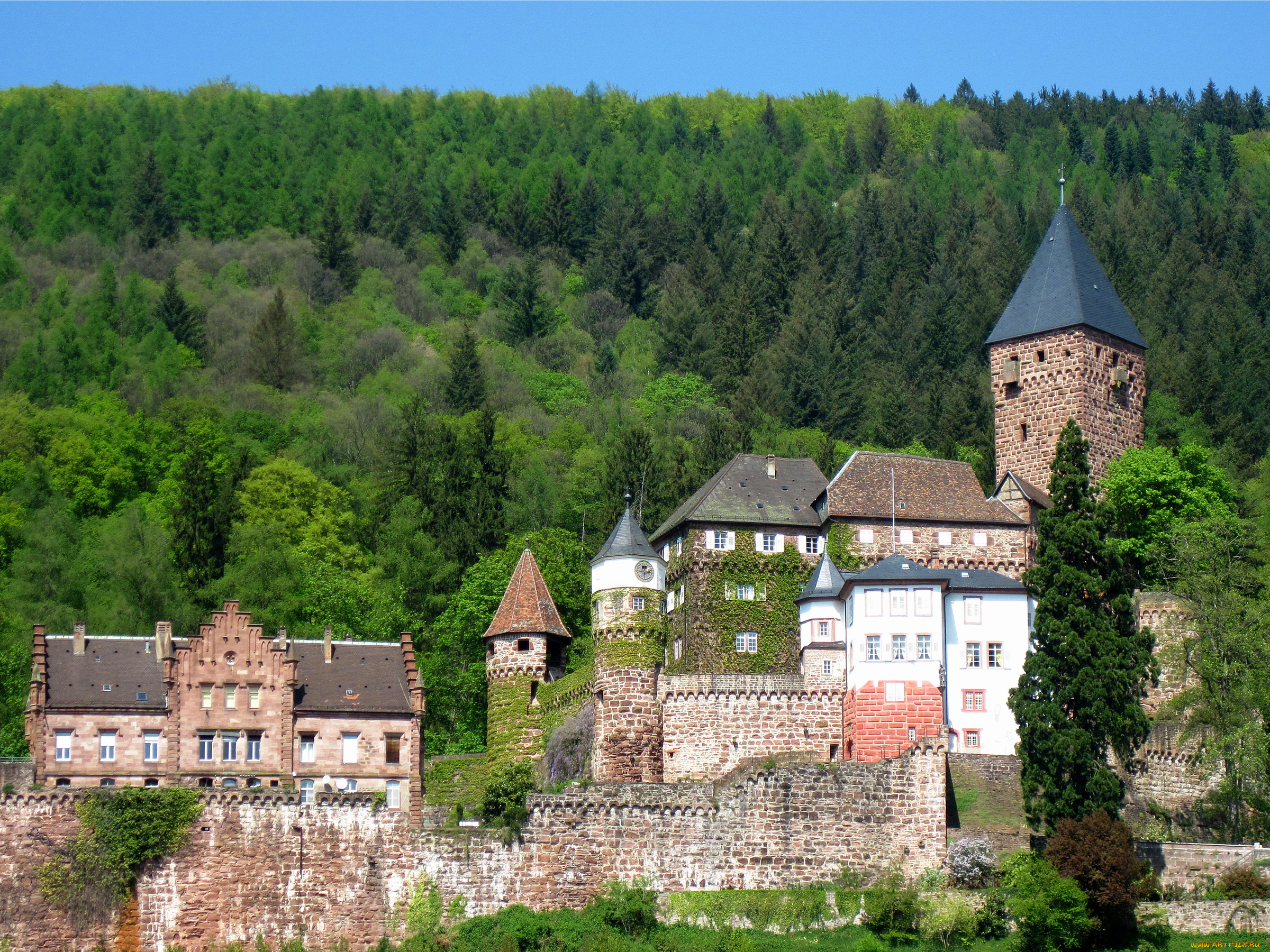 города, дворцы, замки, крепости, germany, zwingenberg