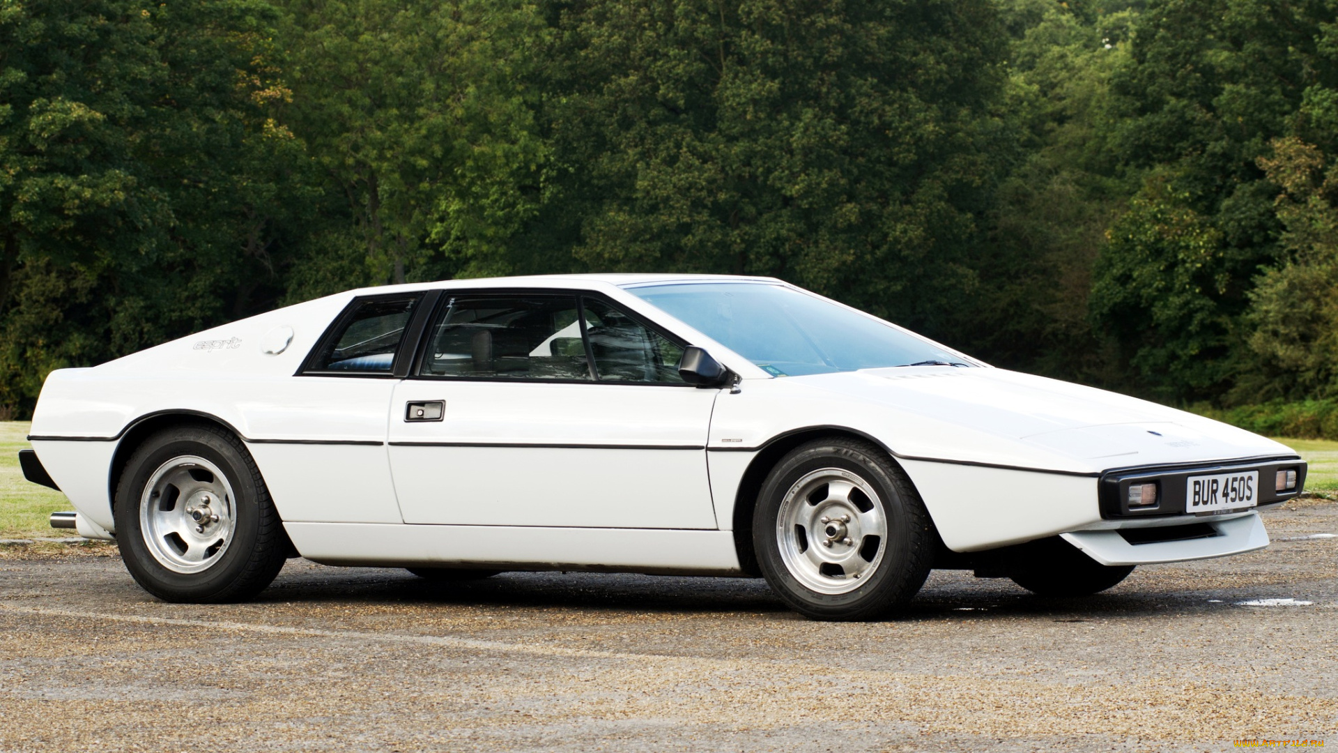 lotus, esprit, автомобили, великобритания, гоночный, спортивный, engineering, ltd