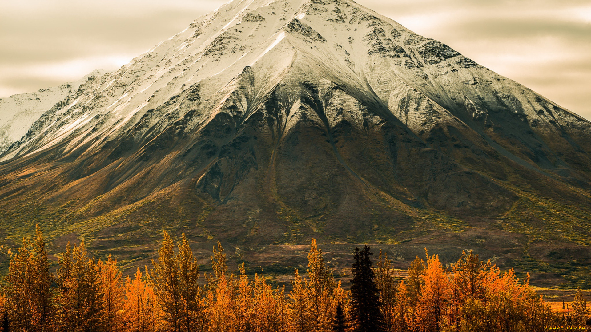 природа, горы, лес, деревья, гора, аляска, осень
