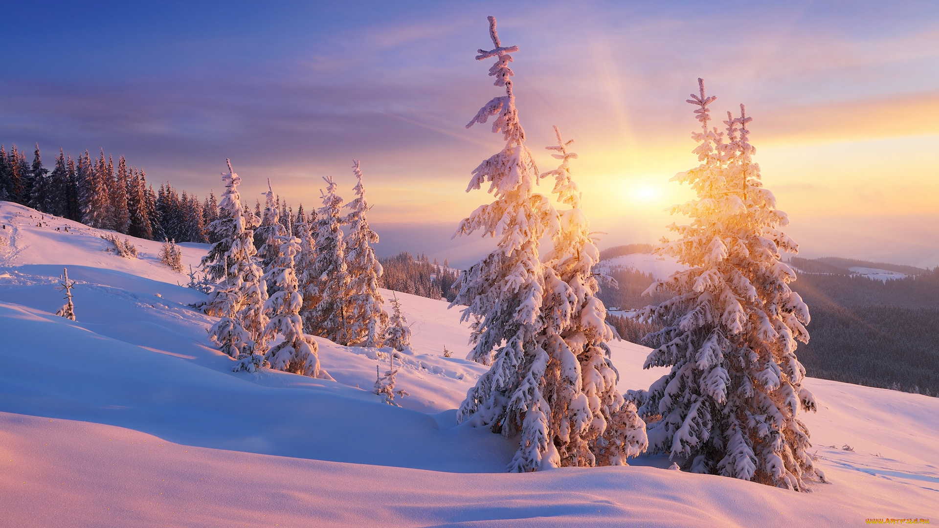 природа, зима, сказочно, облака, ёлки, рассвет, красота, пейзаж, сугробы, склон, ветки, снег, лучи, ели, горы, мороз, и, солнце, день, чудесный, лес, холмы, небо, тени, закат