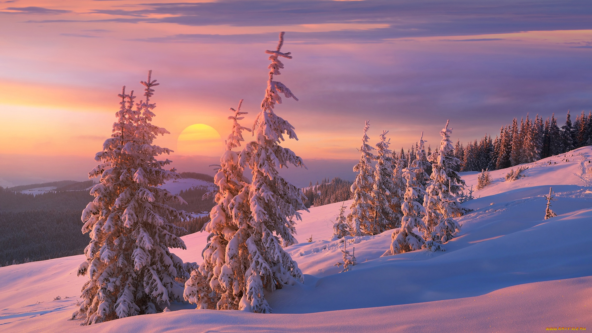 природа, зима, ёлки, ёлочки, сказочно, тени, мороз, склон, снег, ели, вечер, красота, холмы, горы, облака, солнце, закат