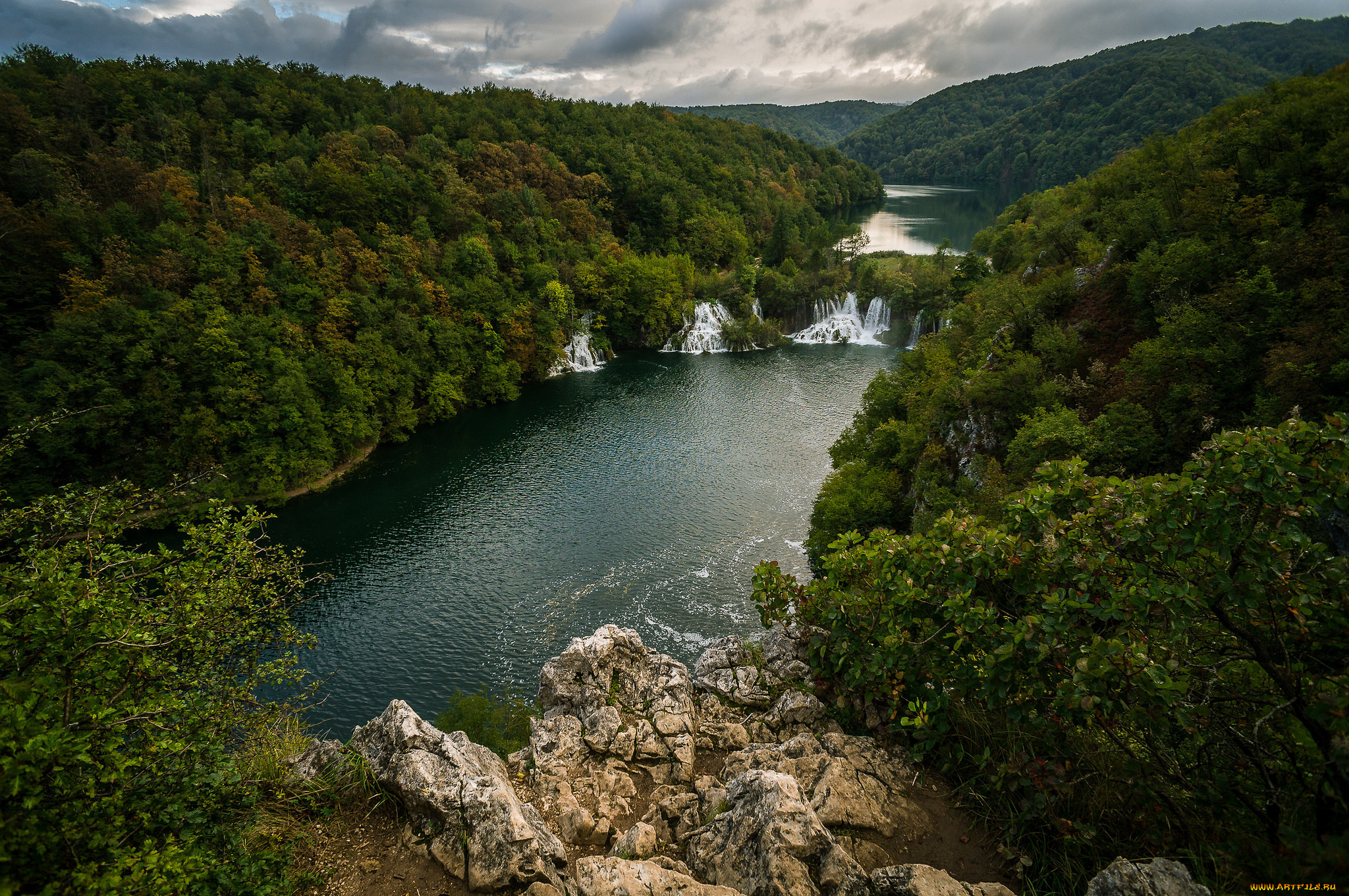 природа, реки, озера, река, лес