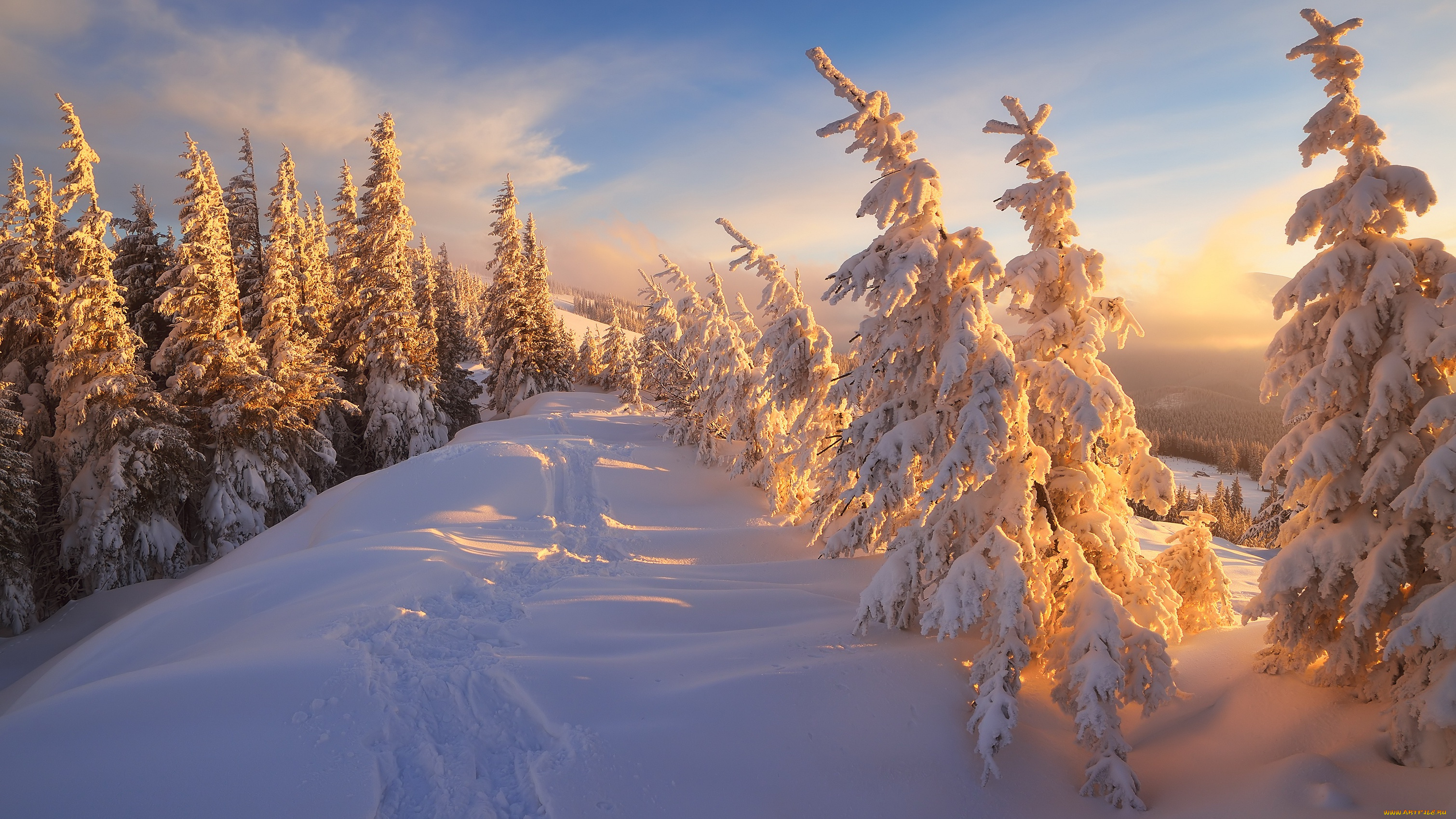 природа, зима, лес, снег, рассвет, небо, облака, солнечно, сугробы, лыжня, красота, ели, освещение, мороз, свет, лучи, ёлки, холмы, закат, пейзаж, тропинка, и, солнце, день, чудесный
