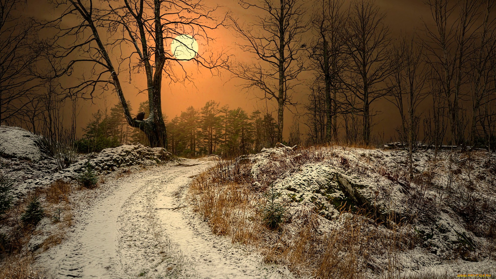 природа, дороги, ночь, проселочная, дорога, луна, зима