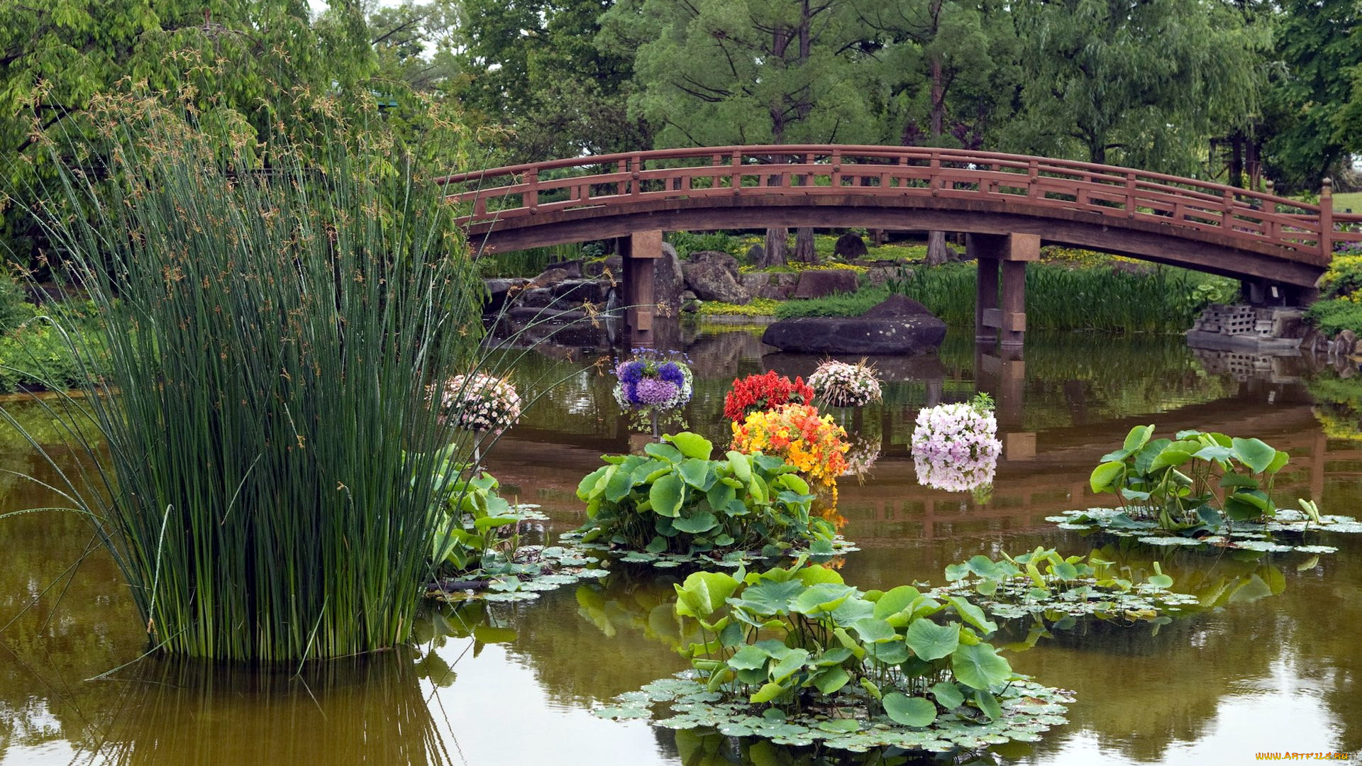 природа, парк, водоем, мостик, цветы
