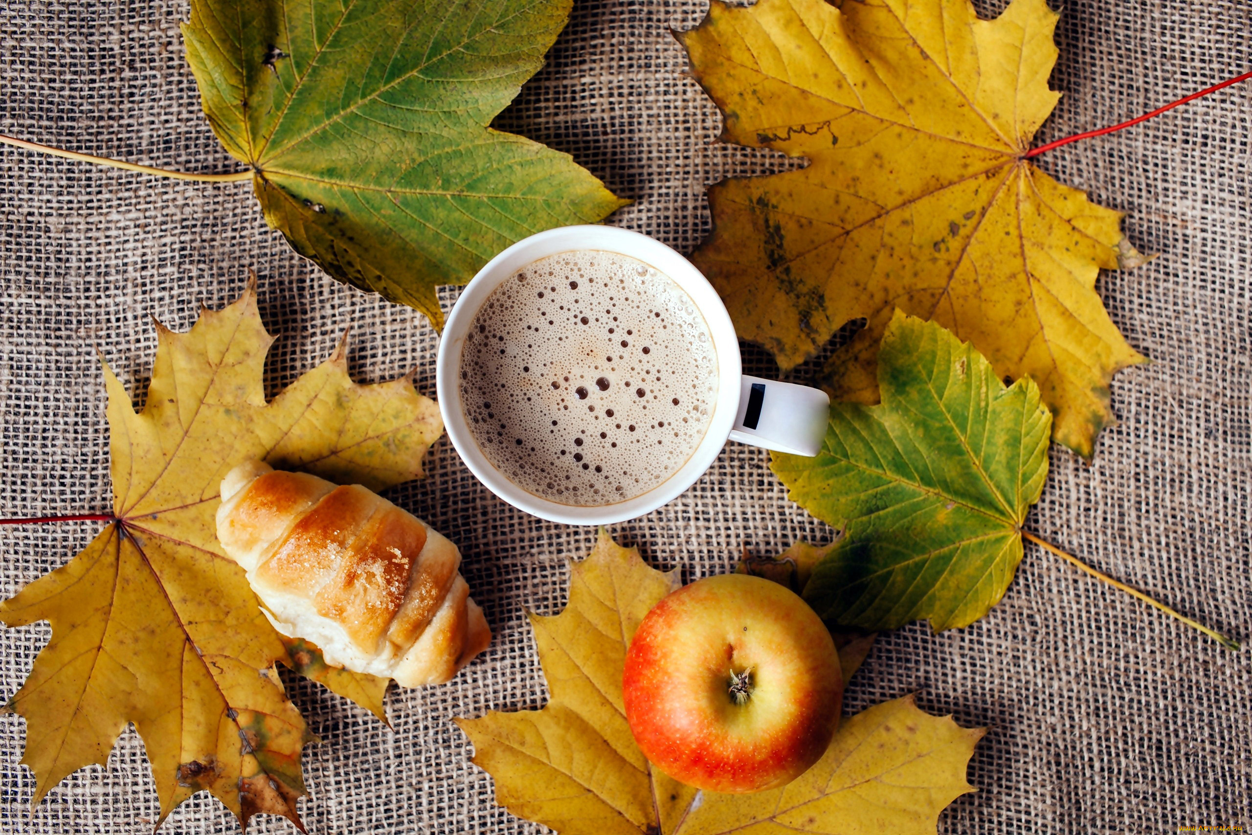 еда, кофе, , кофейные, зёрна, яблоко, круассан, листья